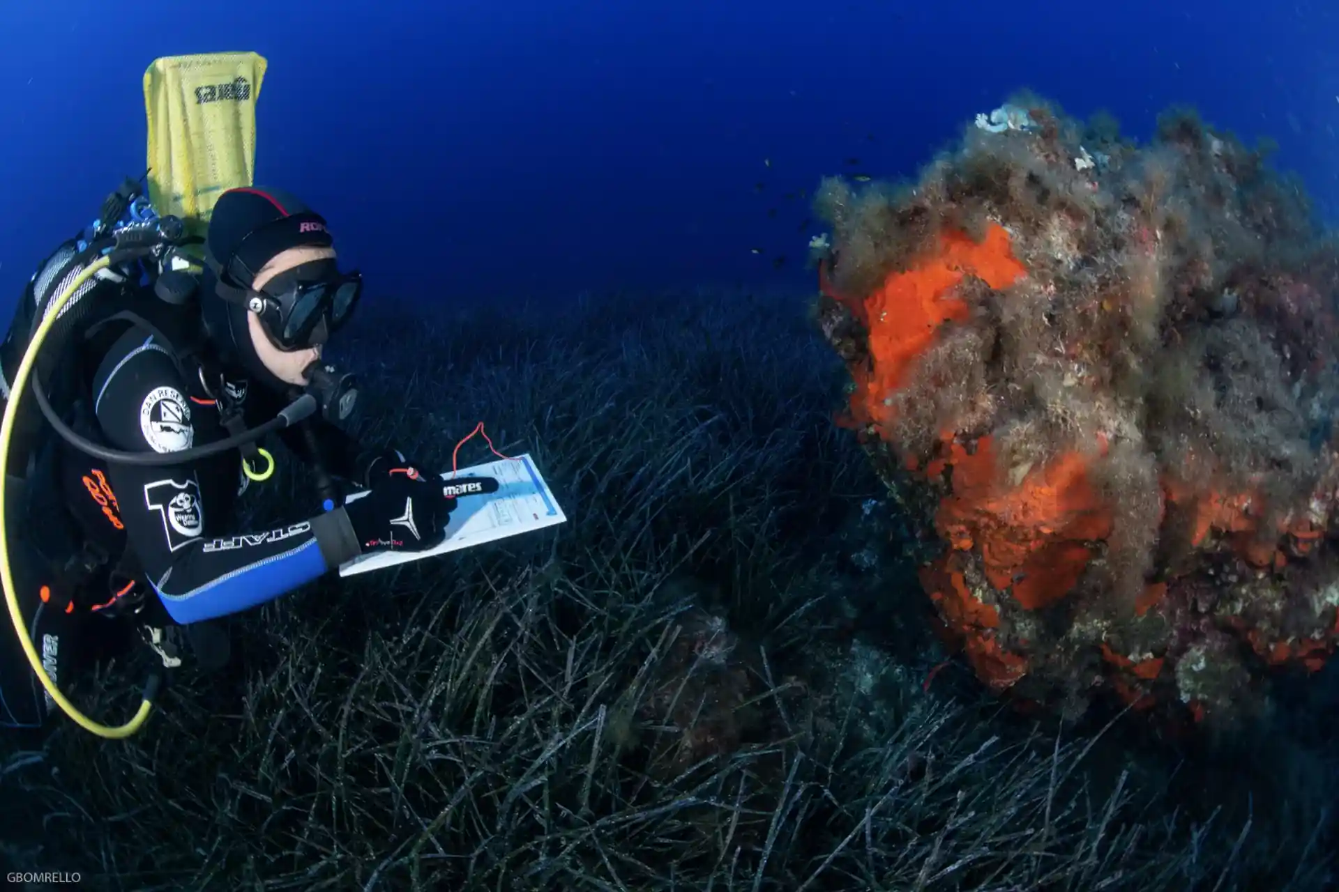 Prendi parte alla sfida!