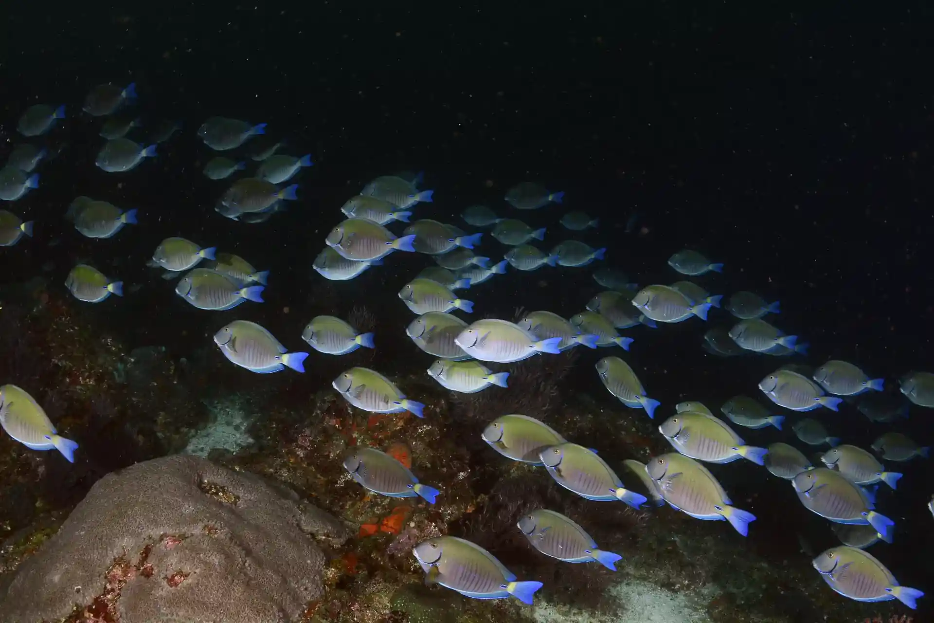 Foto des Tauchplatzes