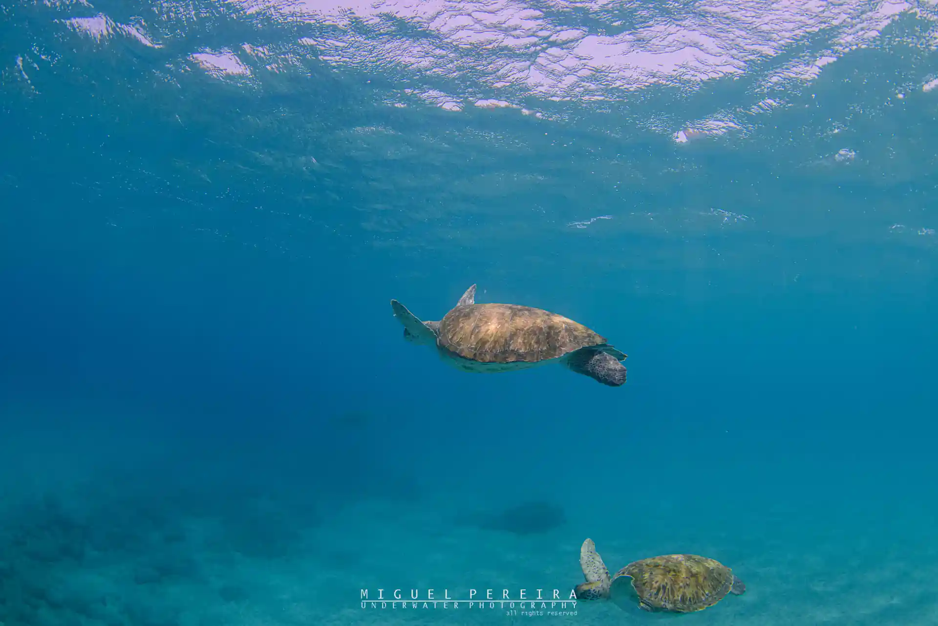 다이빙 포인트 사진