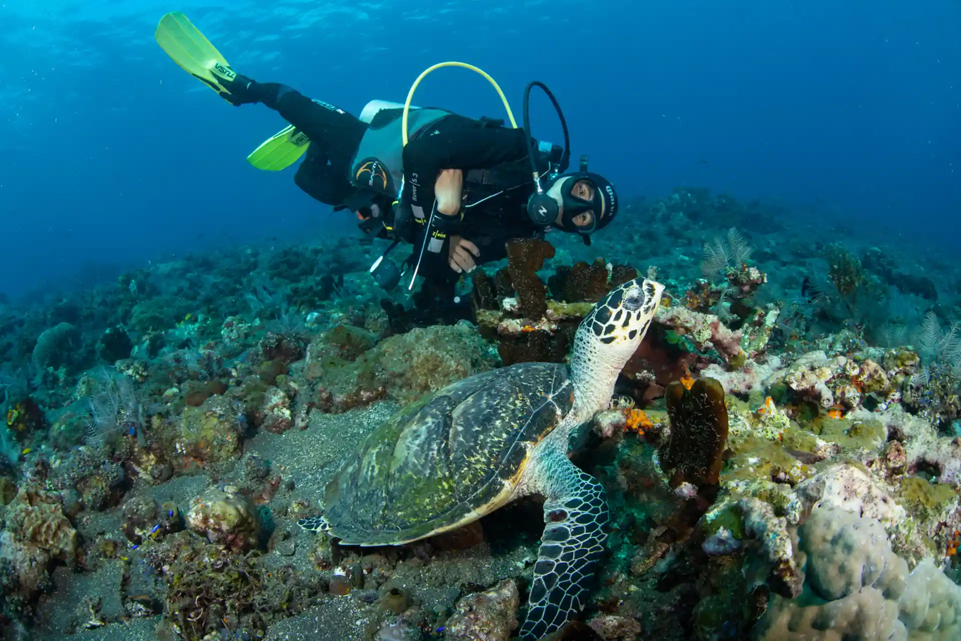 Dive site photo