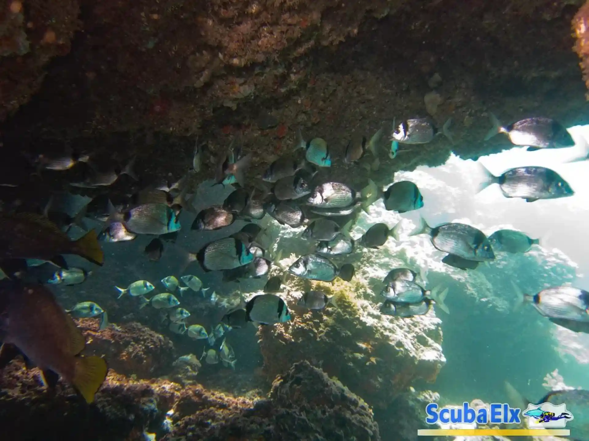 Foto de la actividad