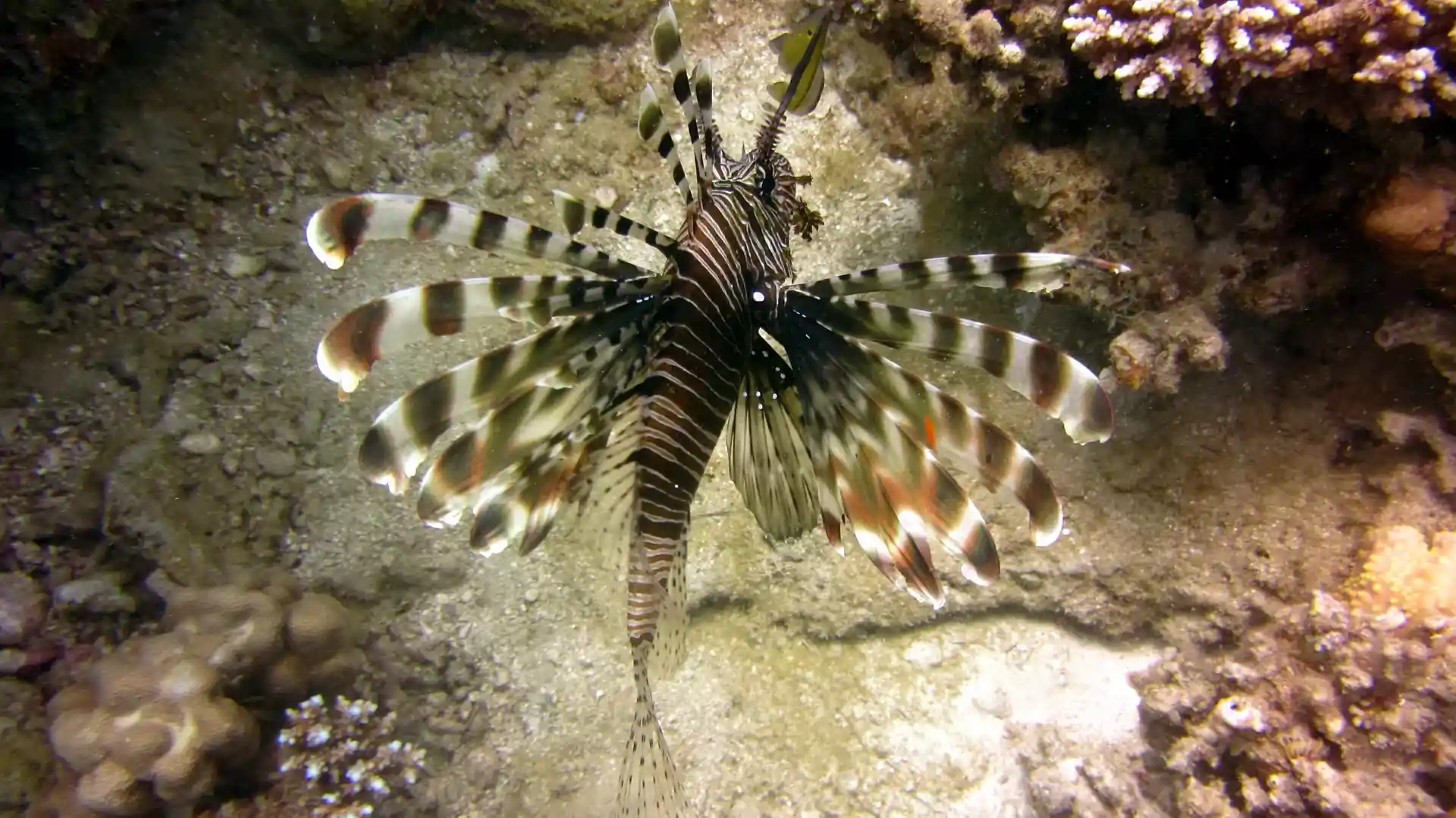 Dive site photo