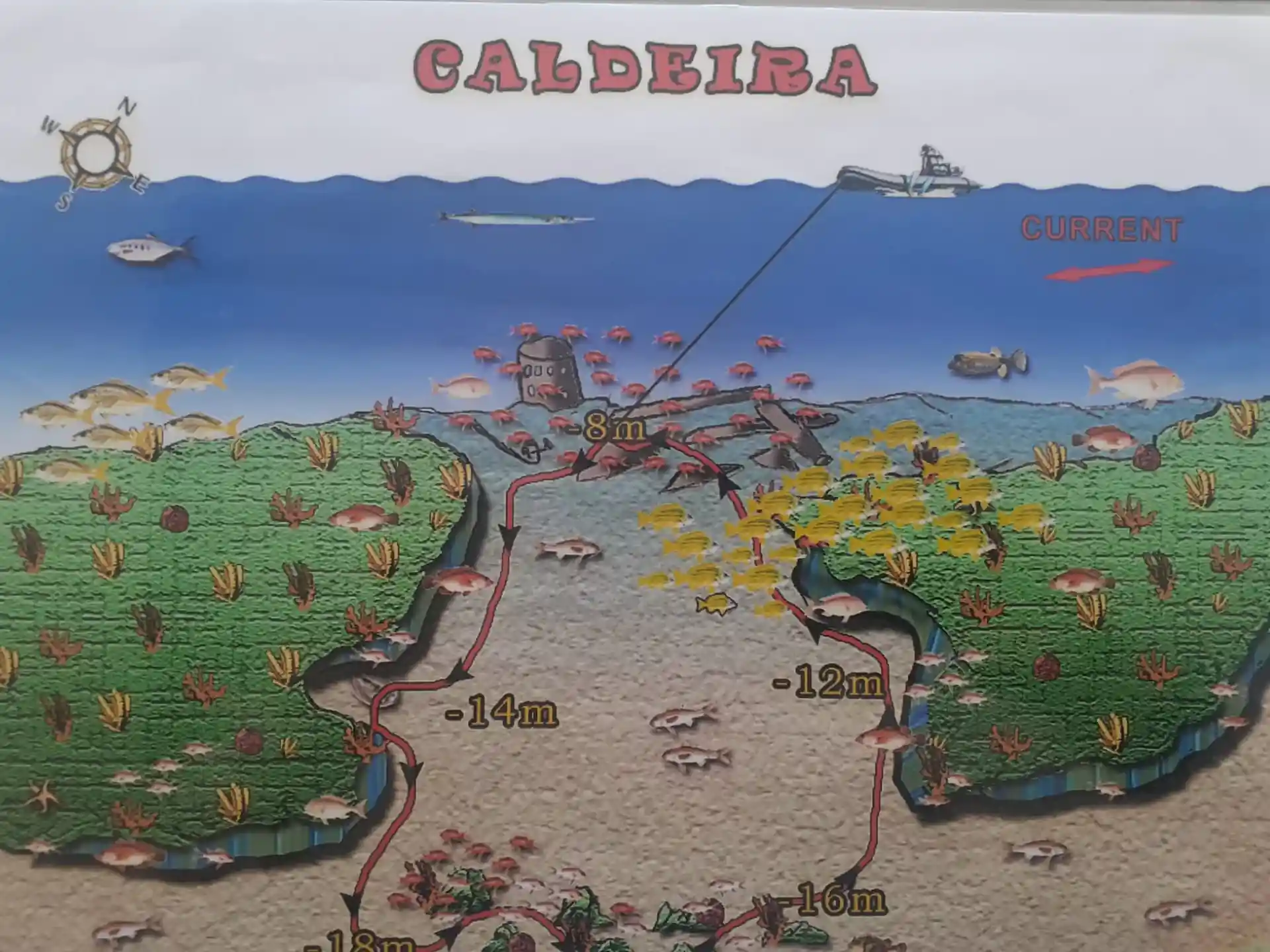 다이빙 포인트 사진