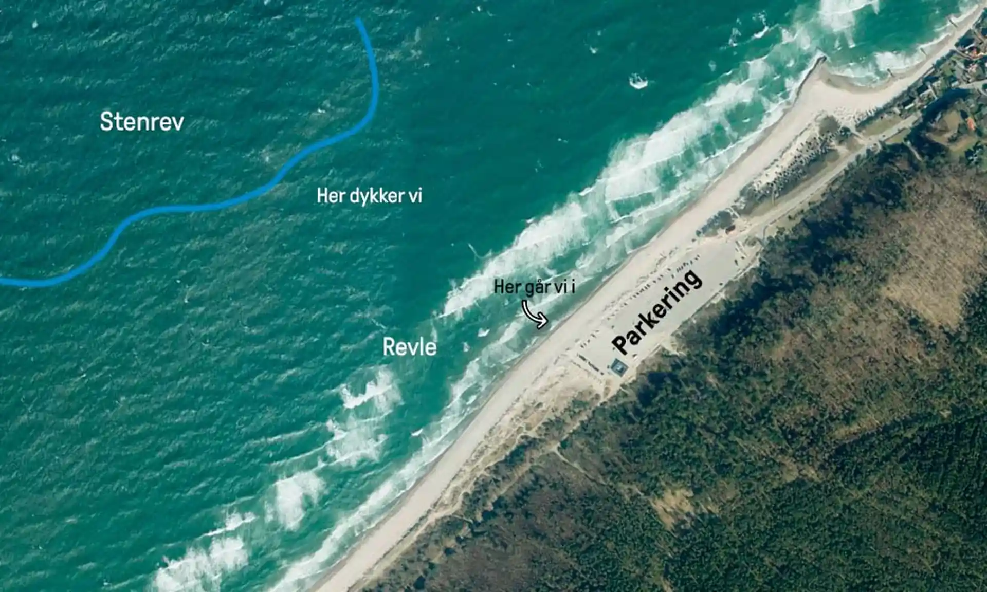 Dive site photo