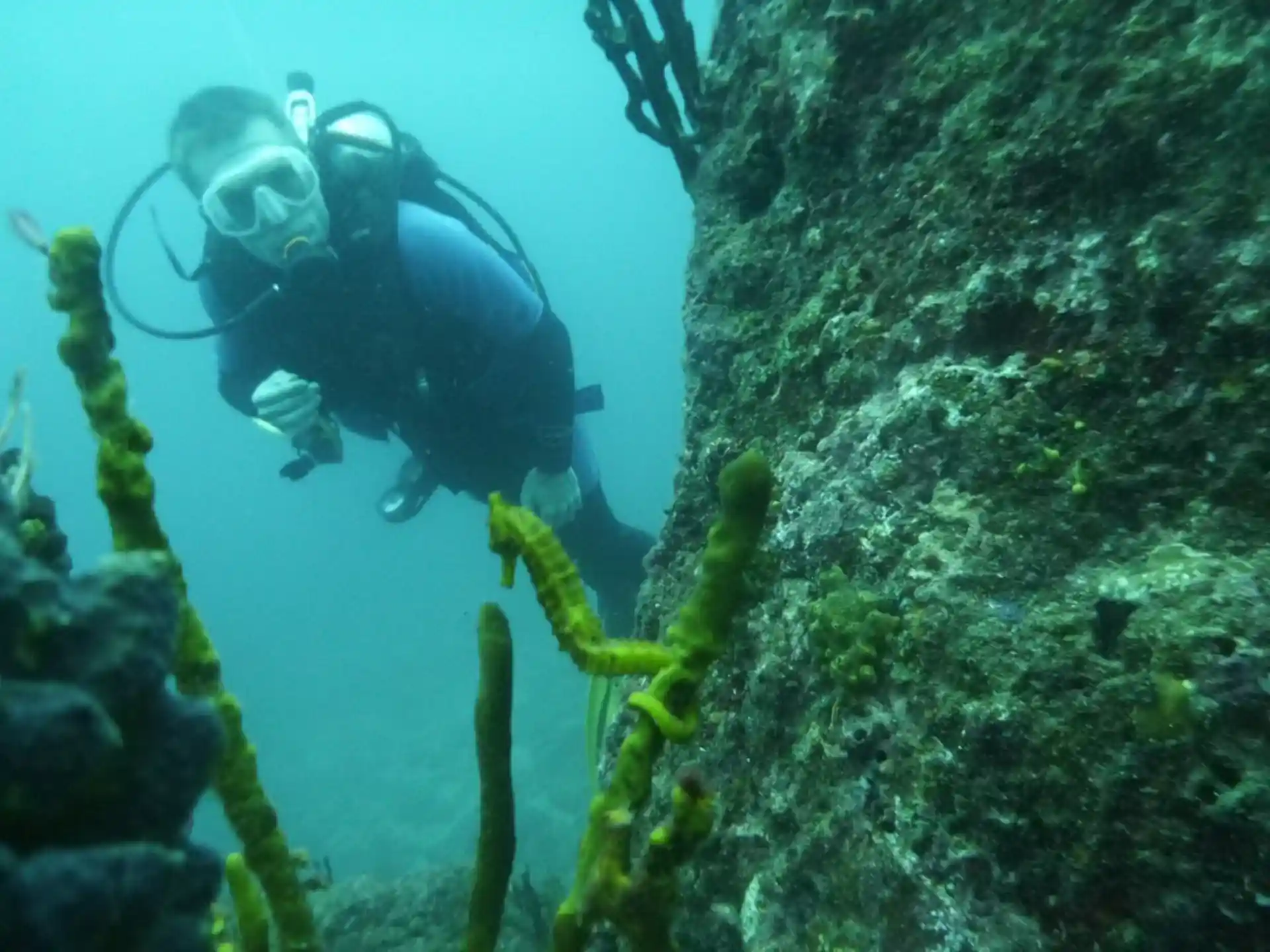 Dive shop photo