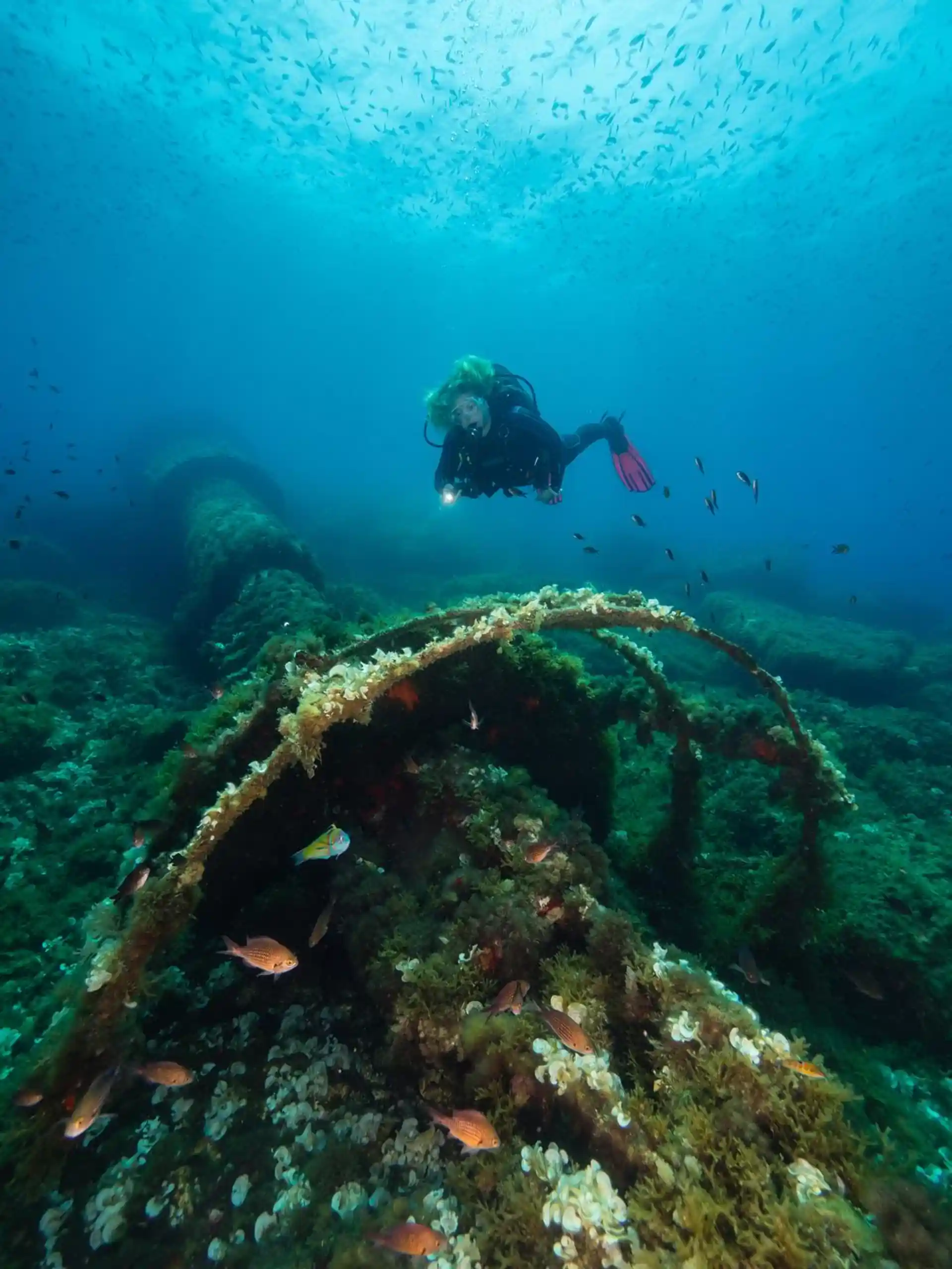 Dive site photo