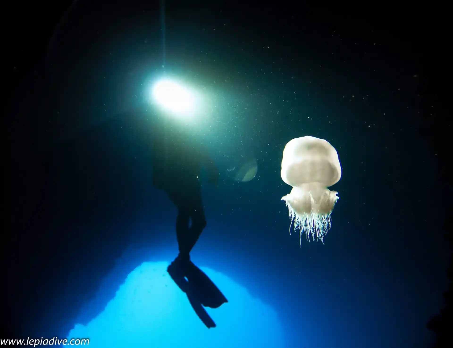 Dive site photo