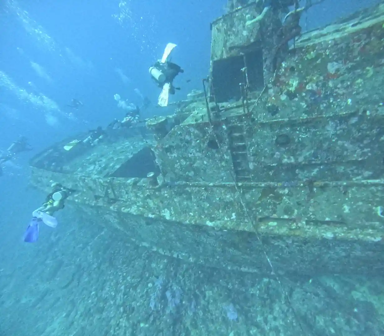 Shark Point dive site | PADI