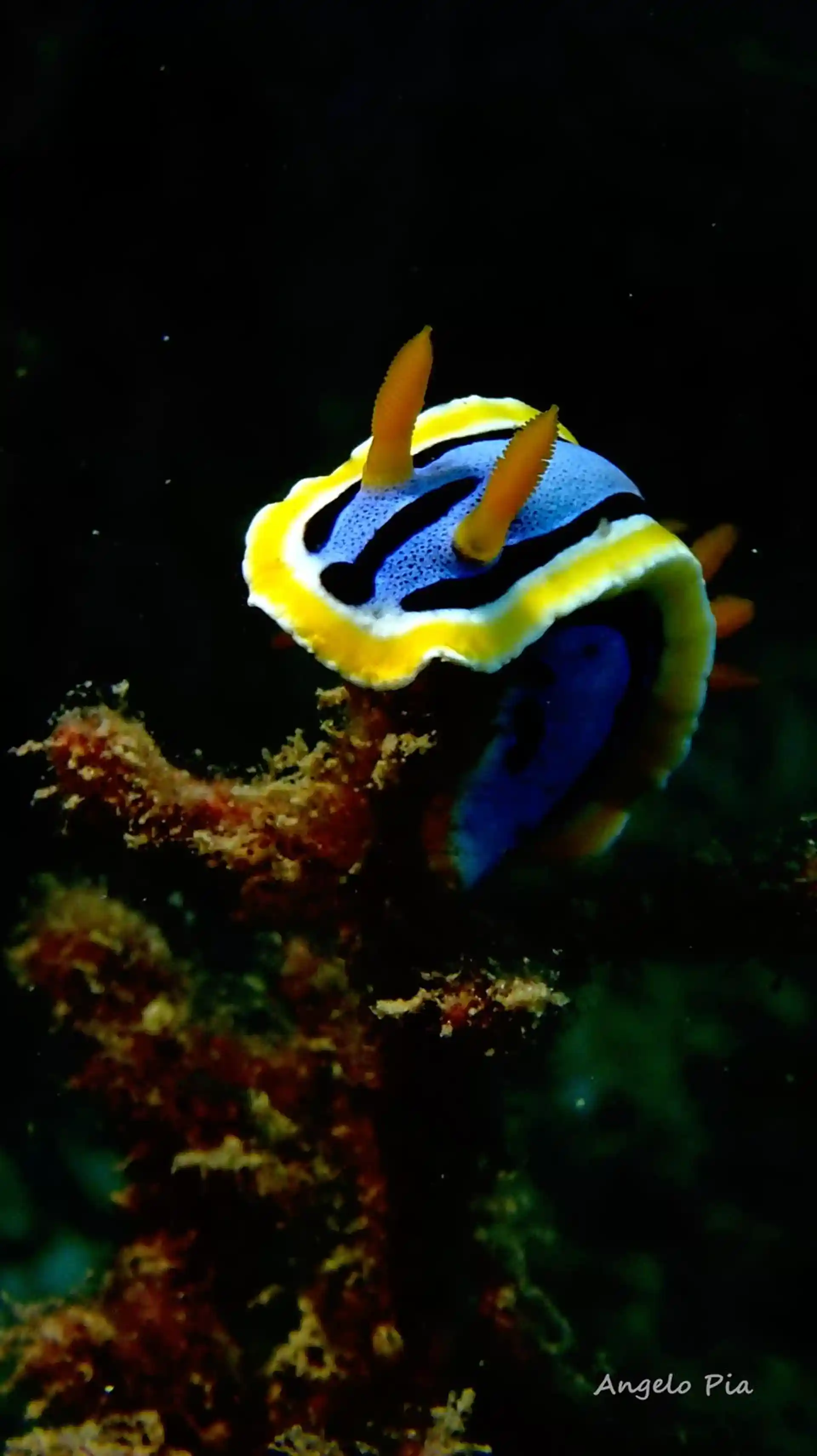 Dive site photo