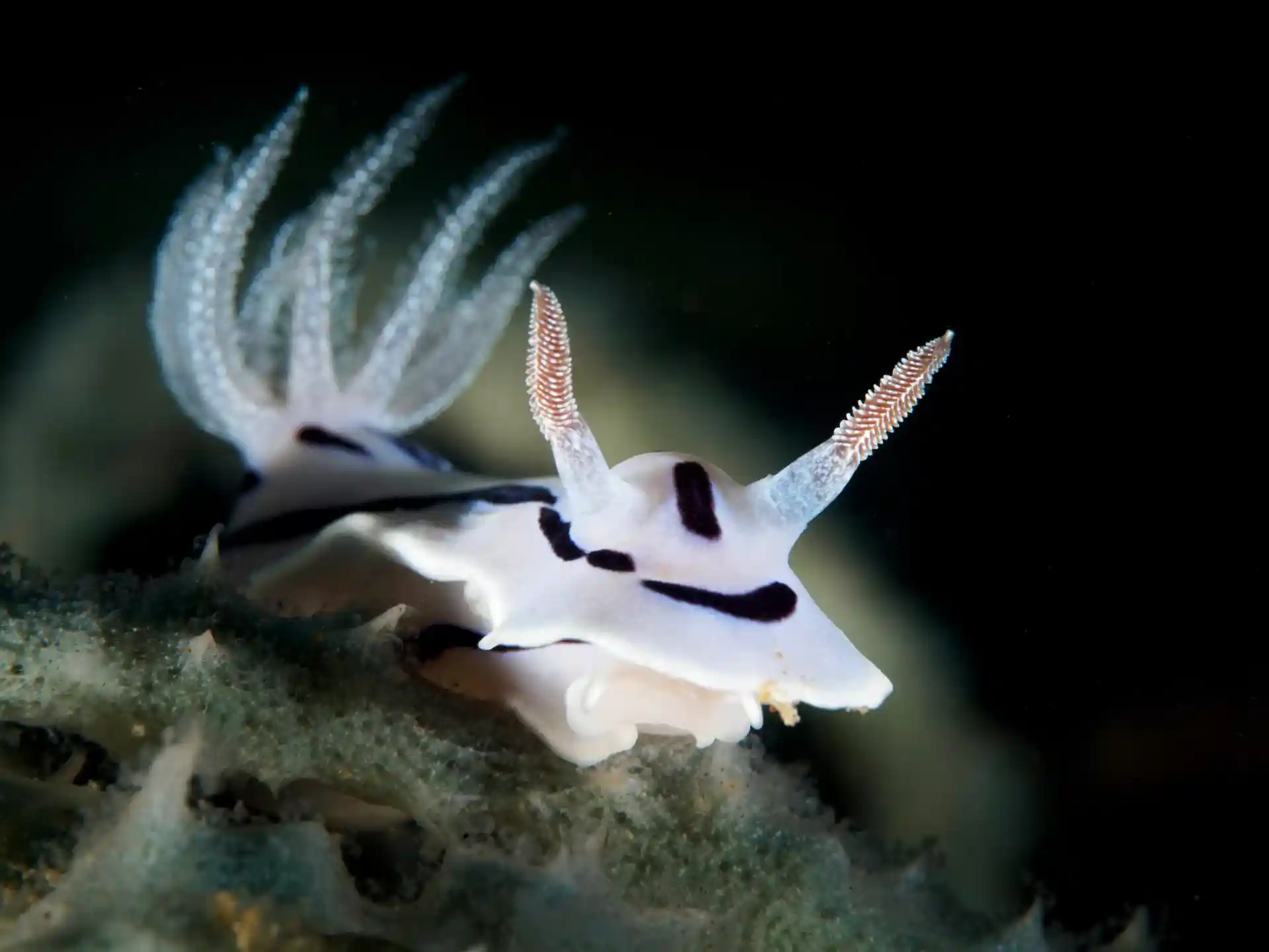 Dive site photo