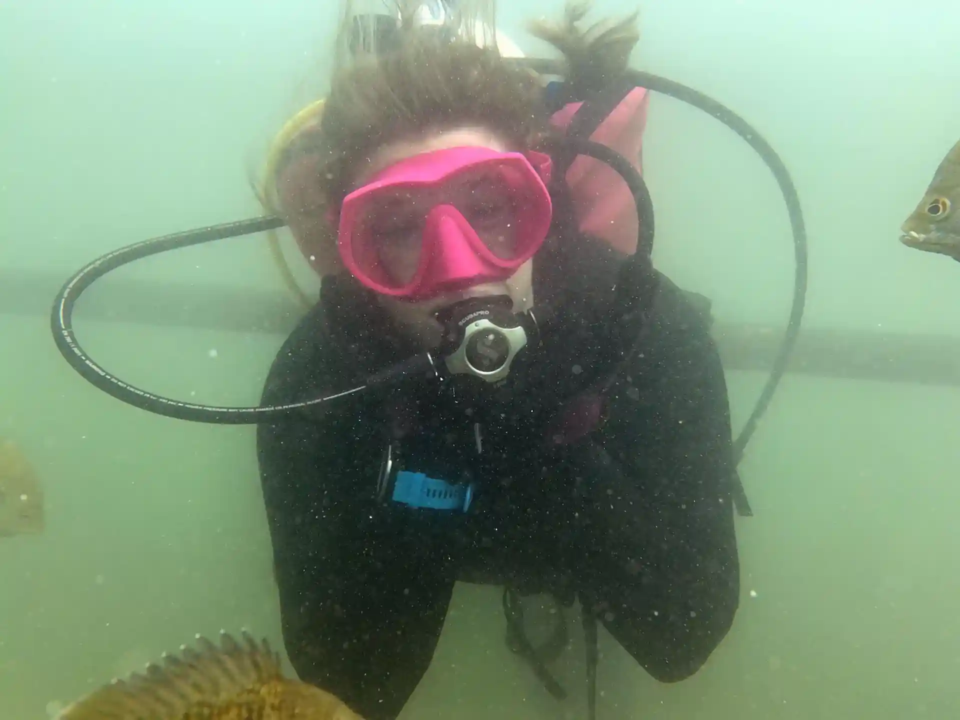 다이빙 포인트 사진