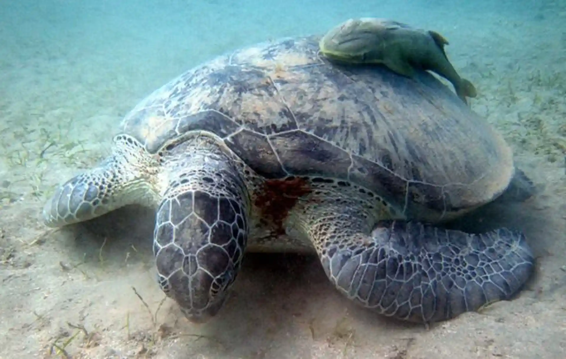 Photo de l'activité