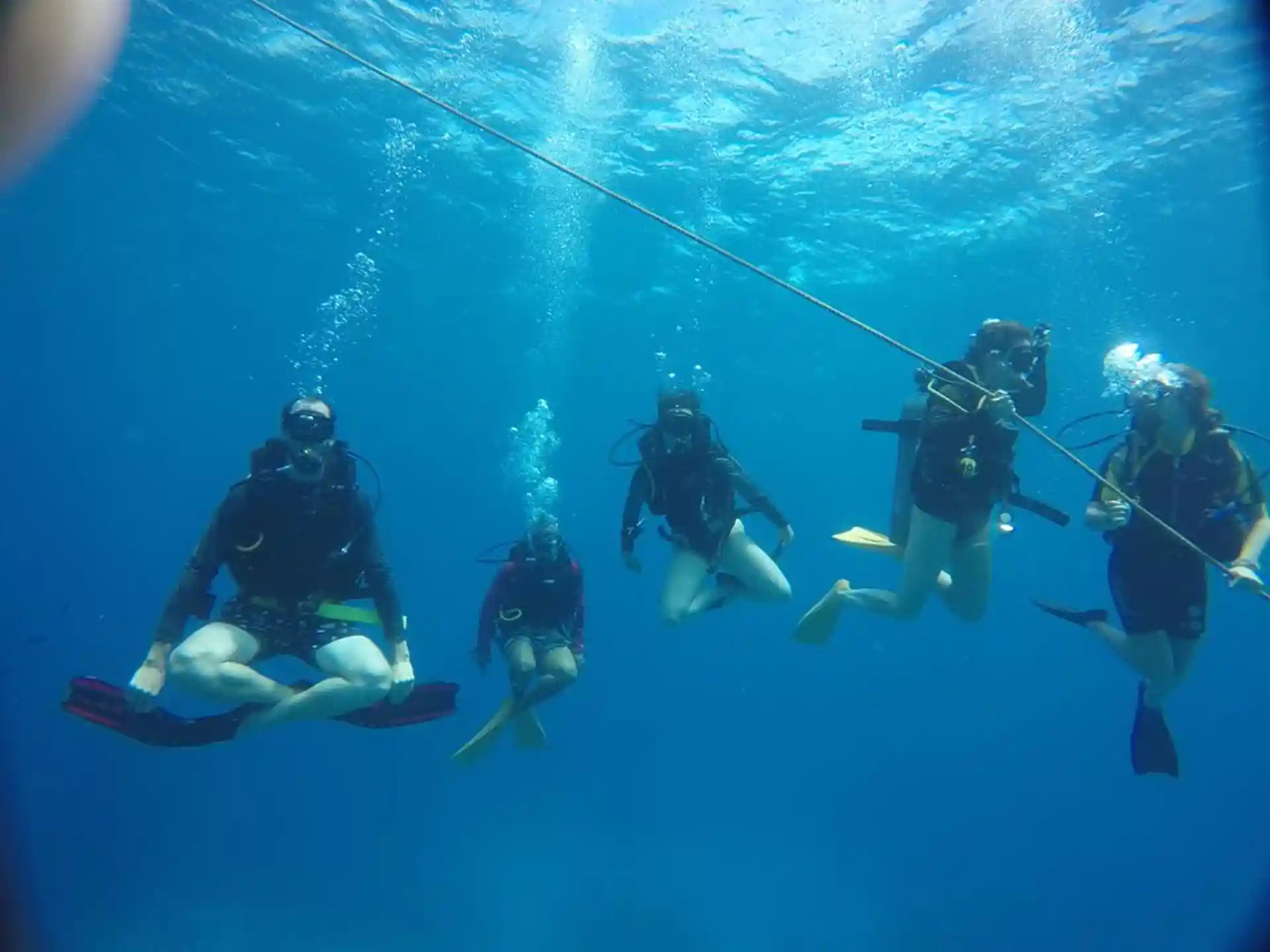 Foto de la actividad