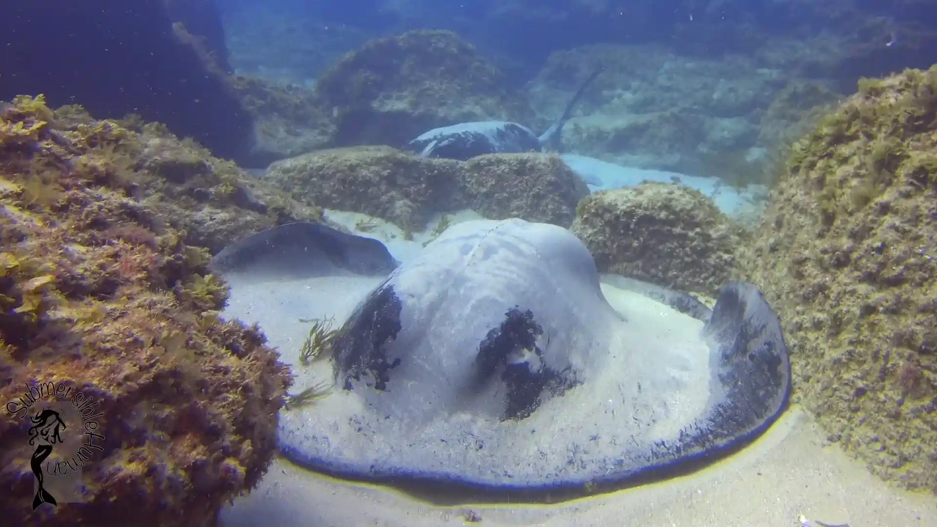 Dive site photo