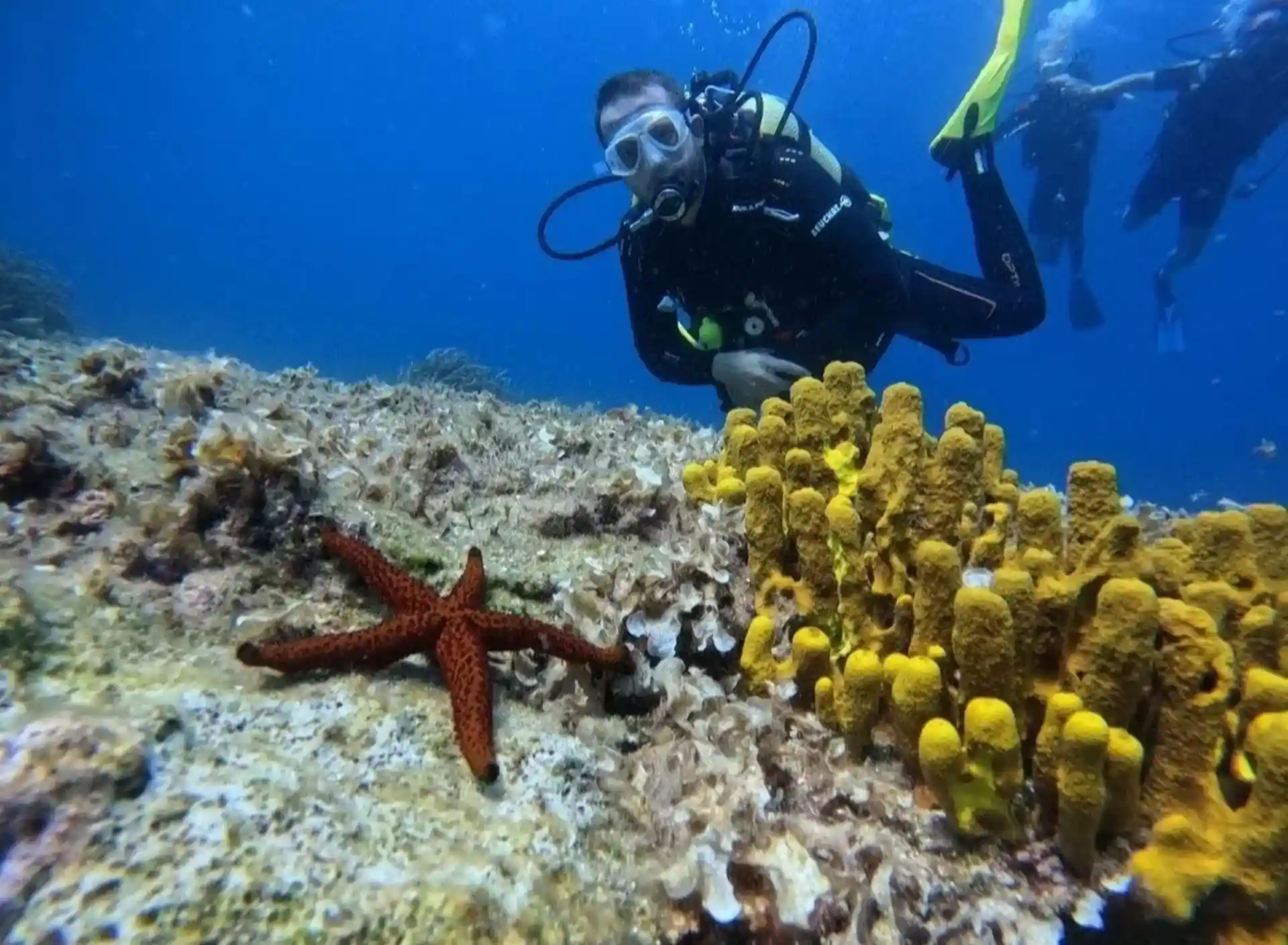 Dive site photo