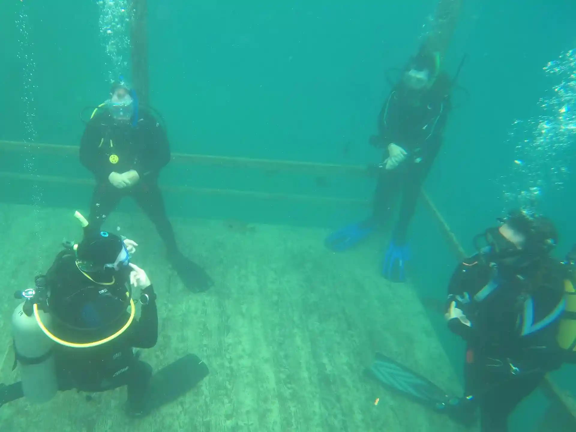 다이빙 포인트 사진