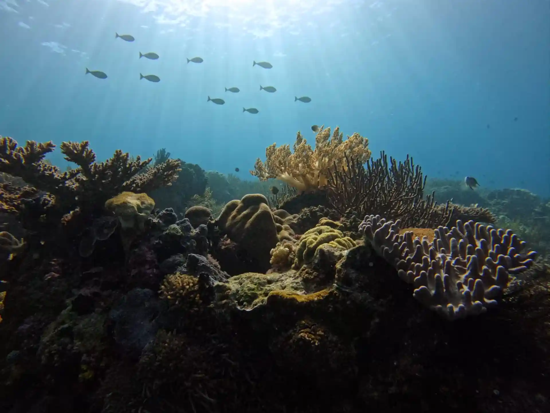Dive site photo