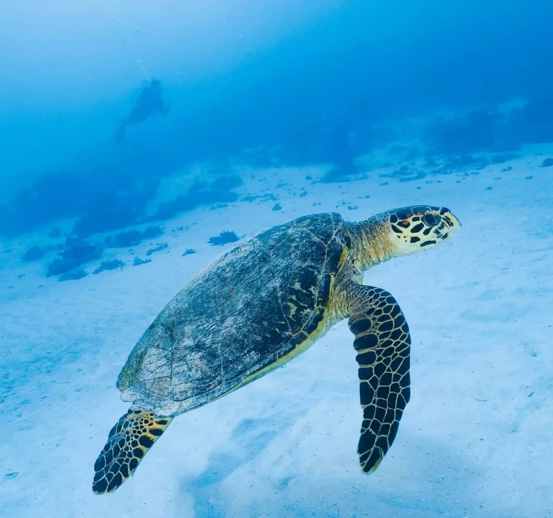 Dive site photo