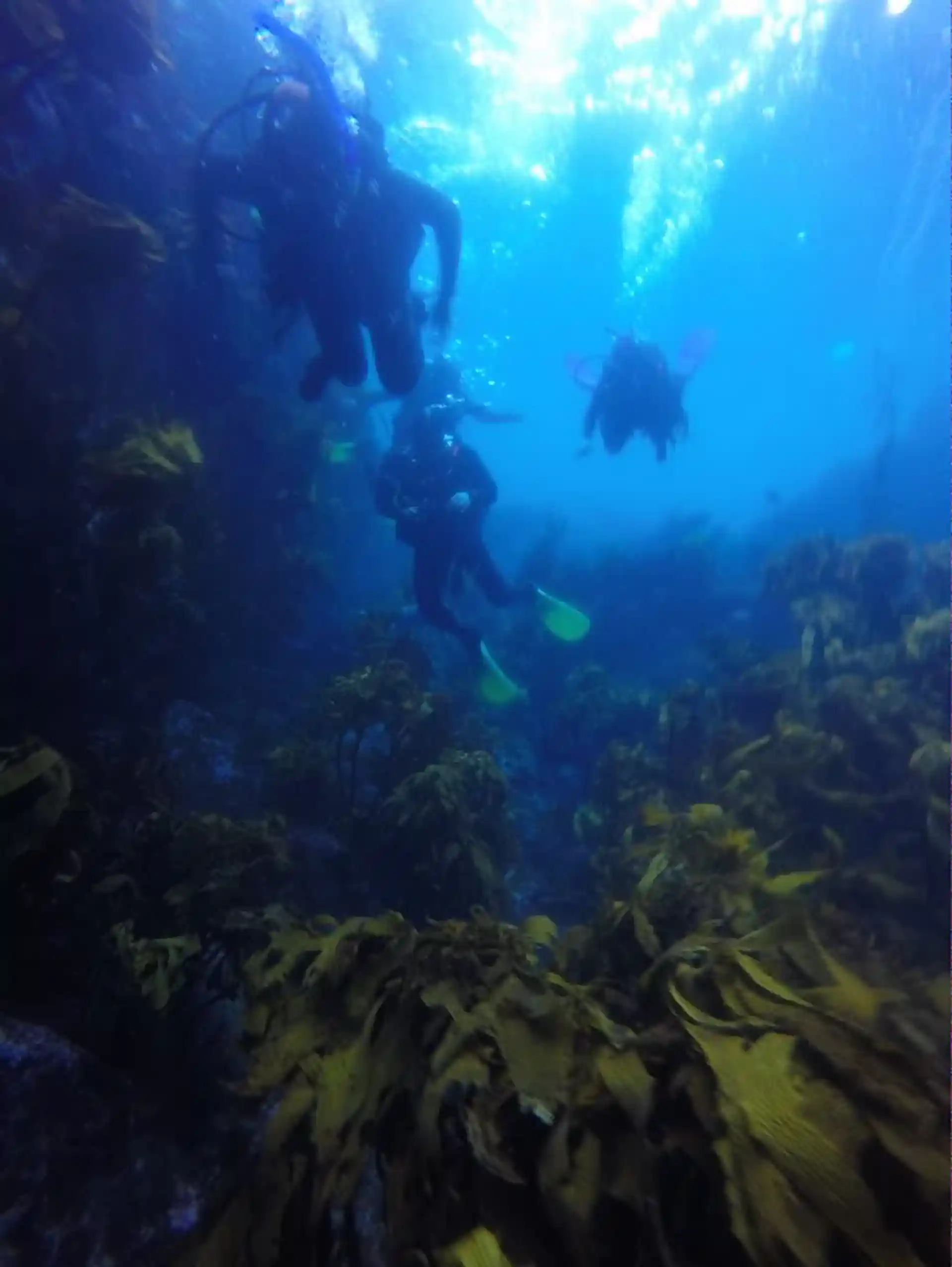 다이빙 포인트 사진