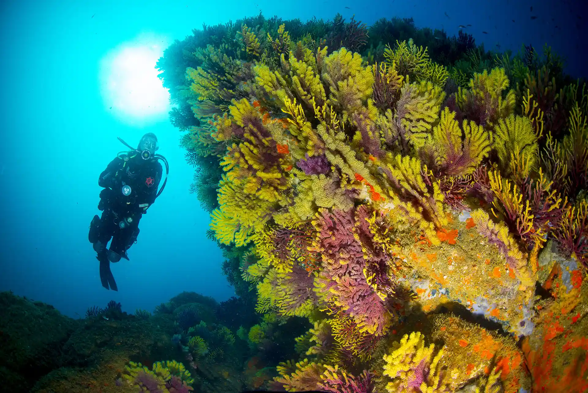 Dive site photo