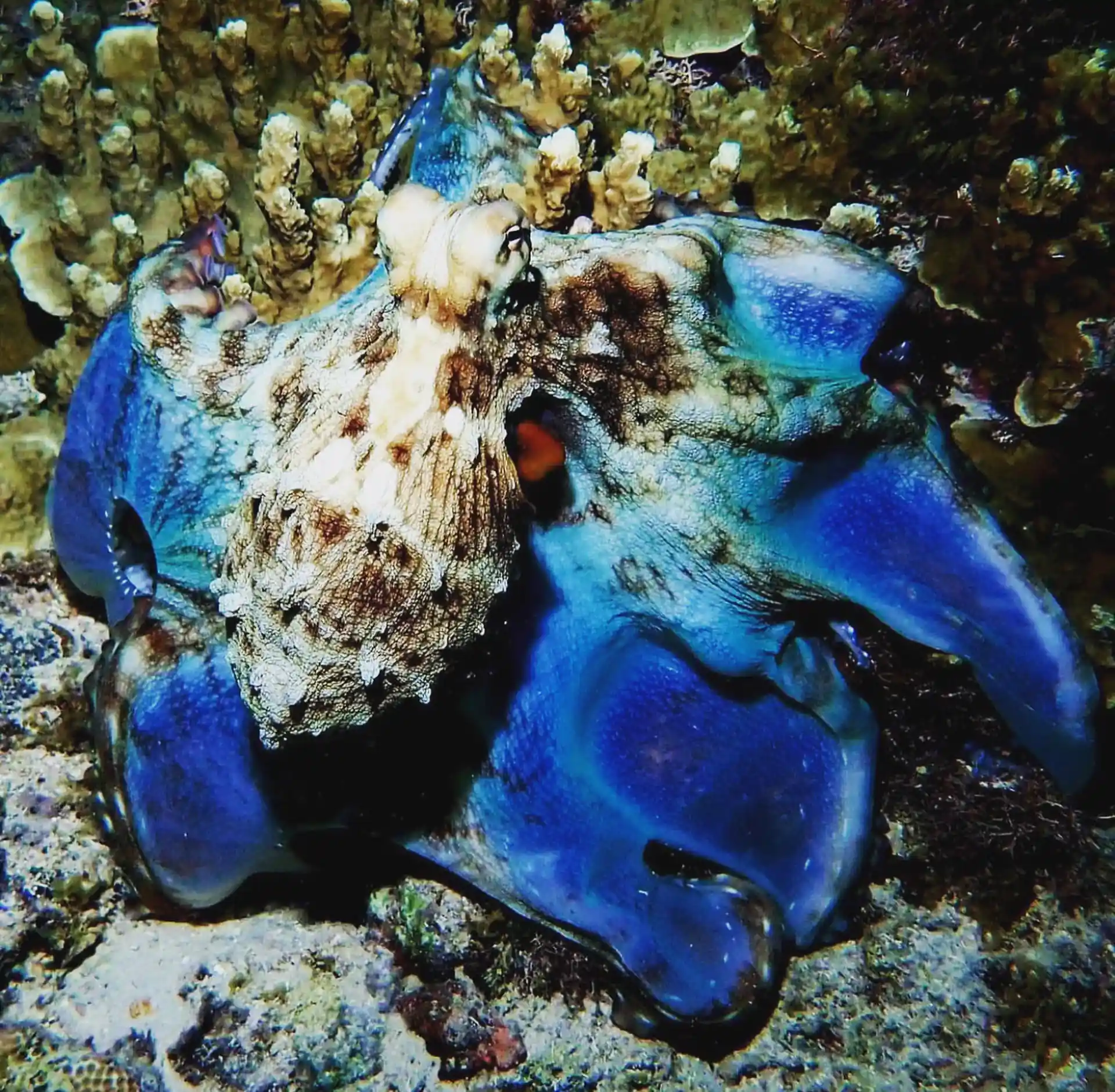 Foto de la actividad