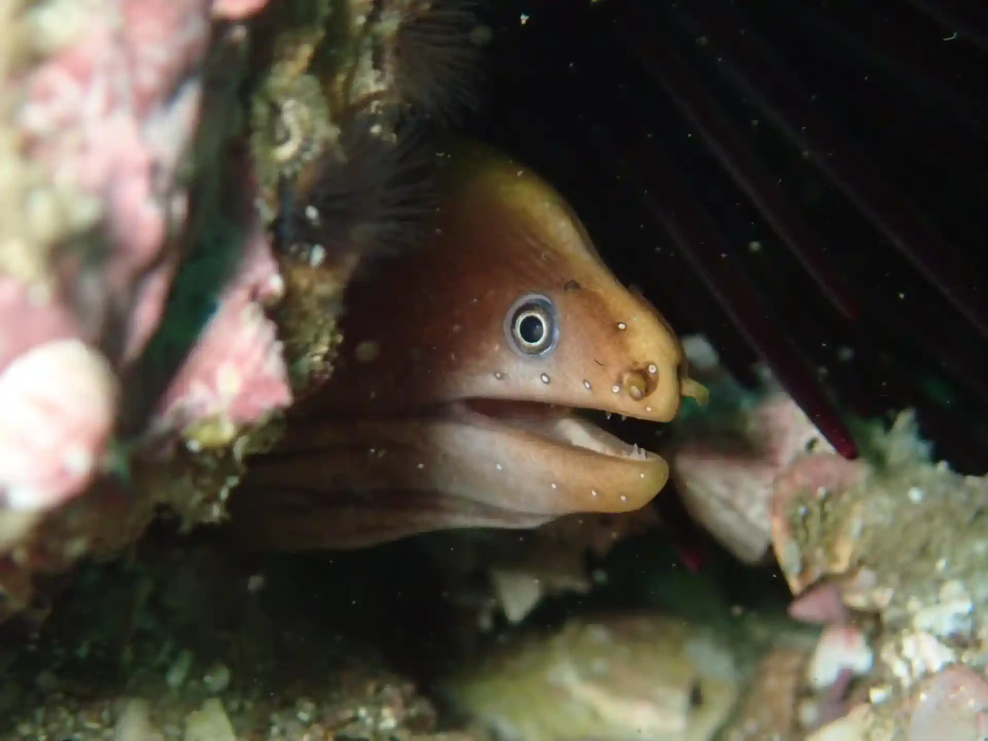 다이빙 포인트 사진