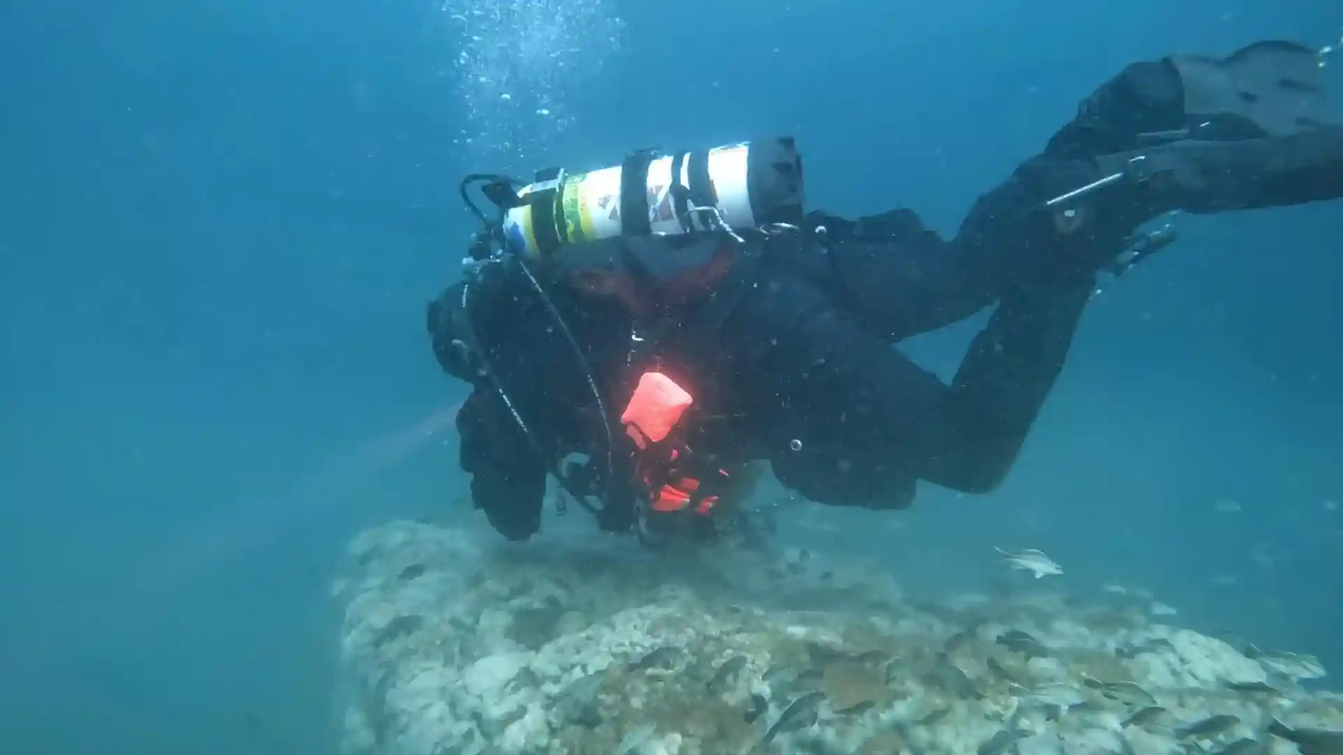 다이빙 포인트 사진