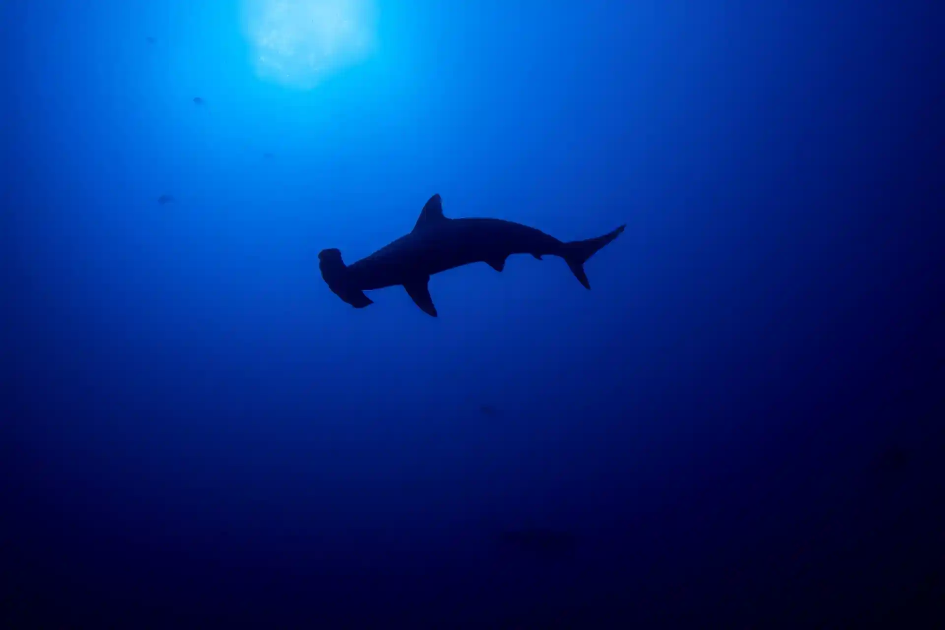 Dive site photo