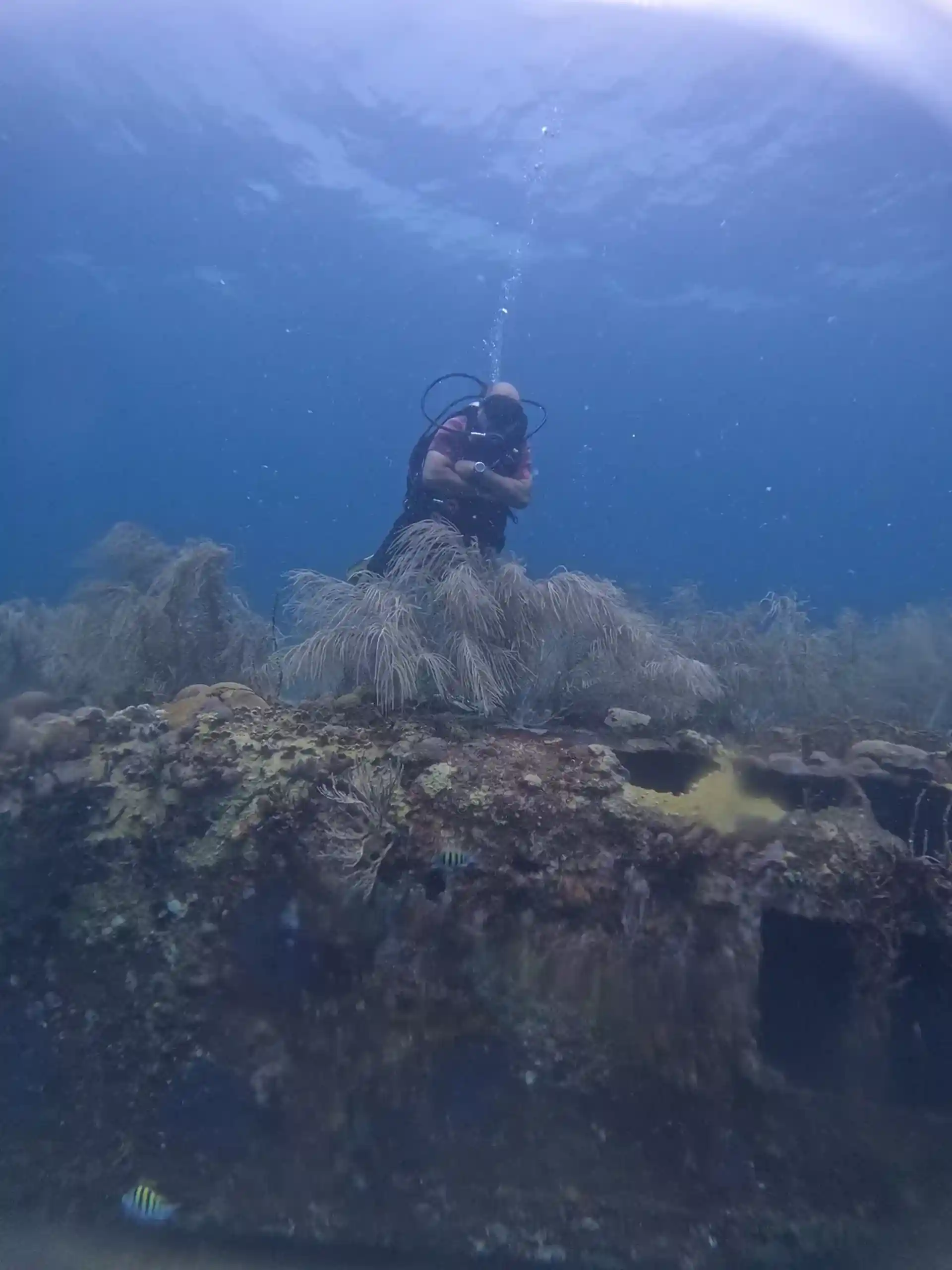 다이빙 포인트 사진