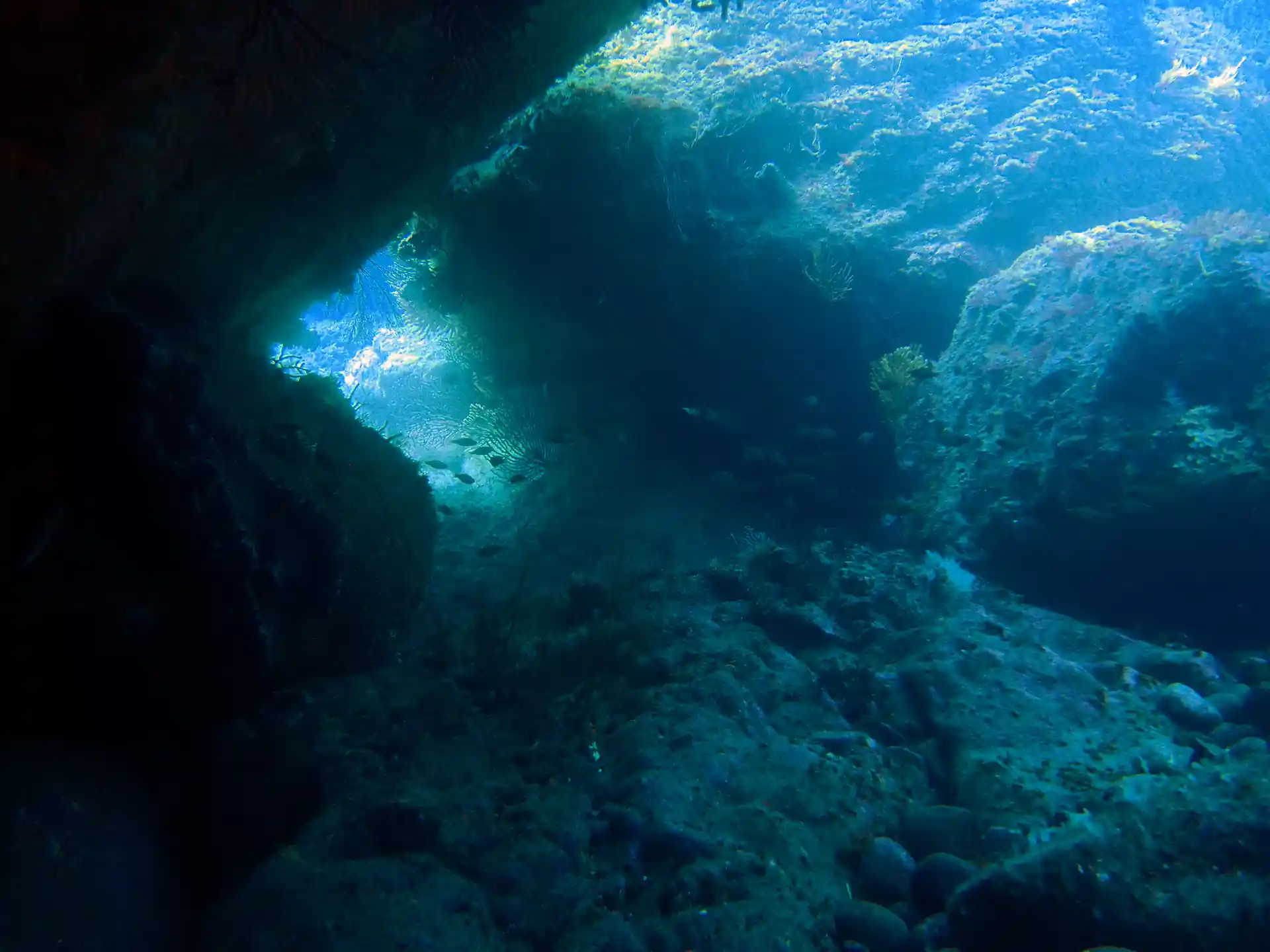 Dive shop photo