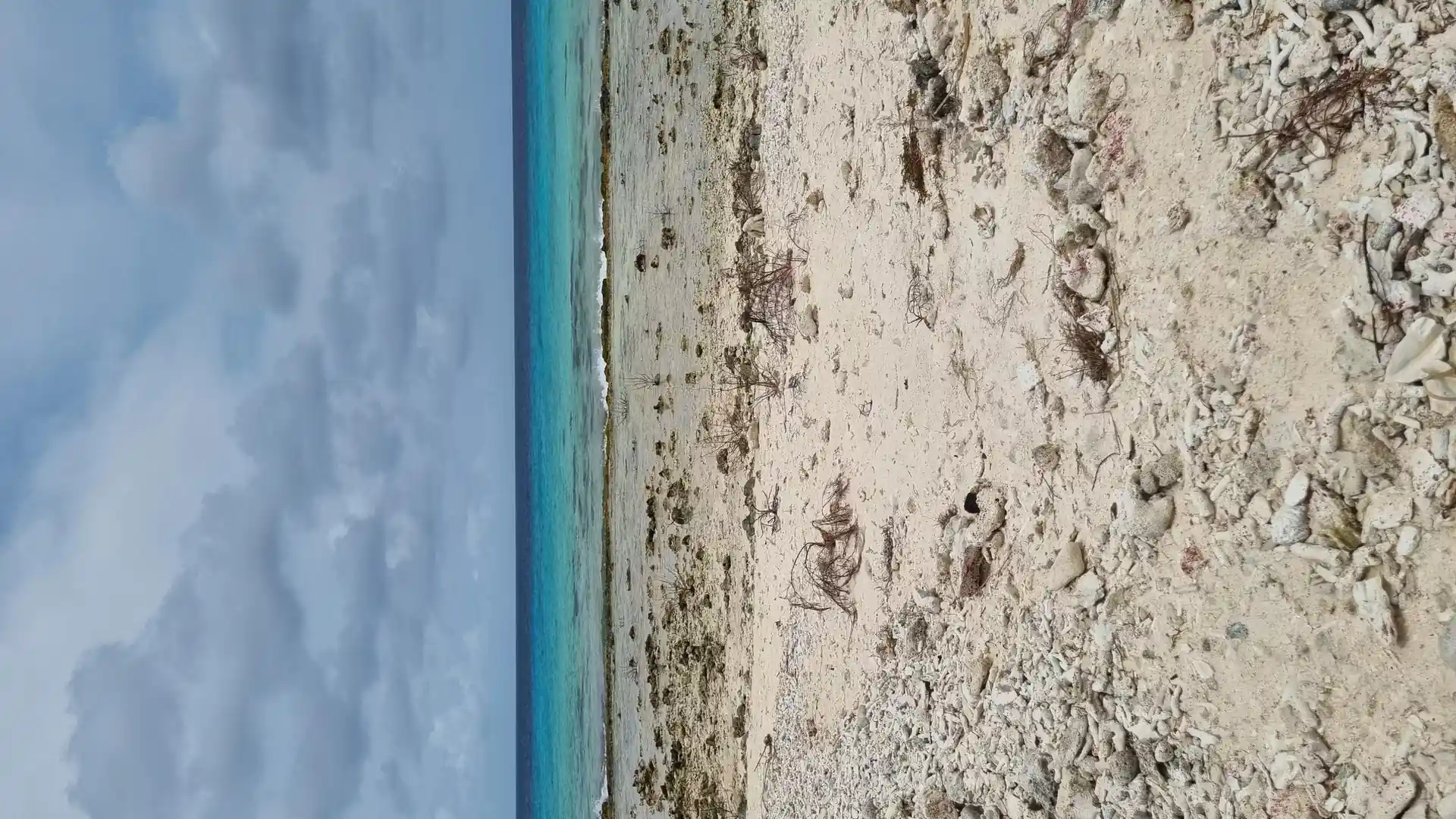 Dive site photo