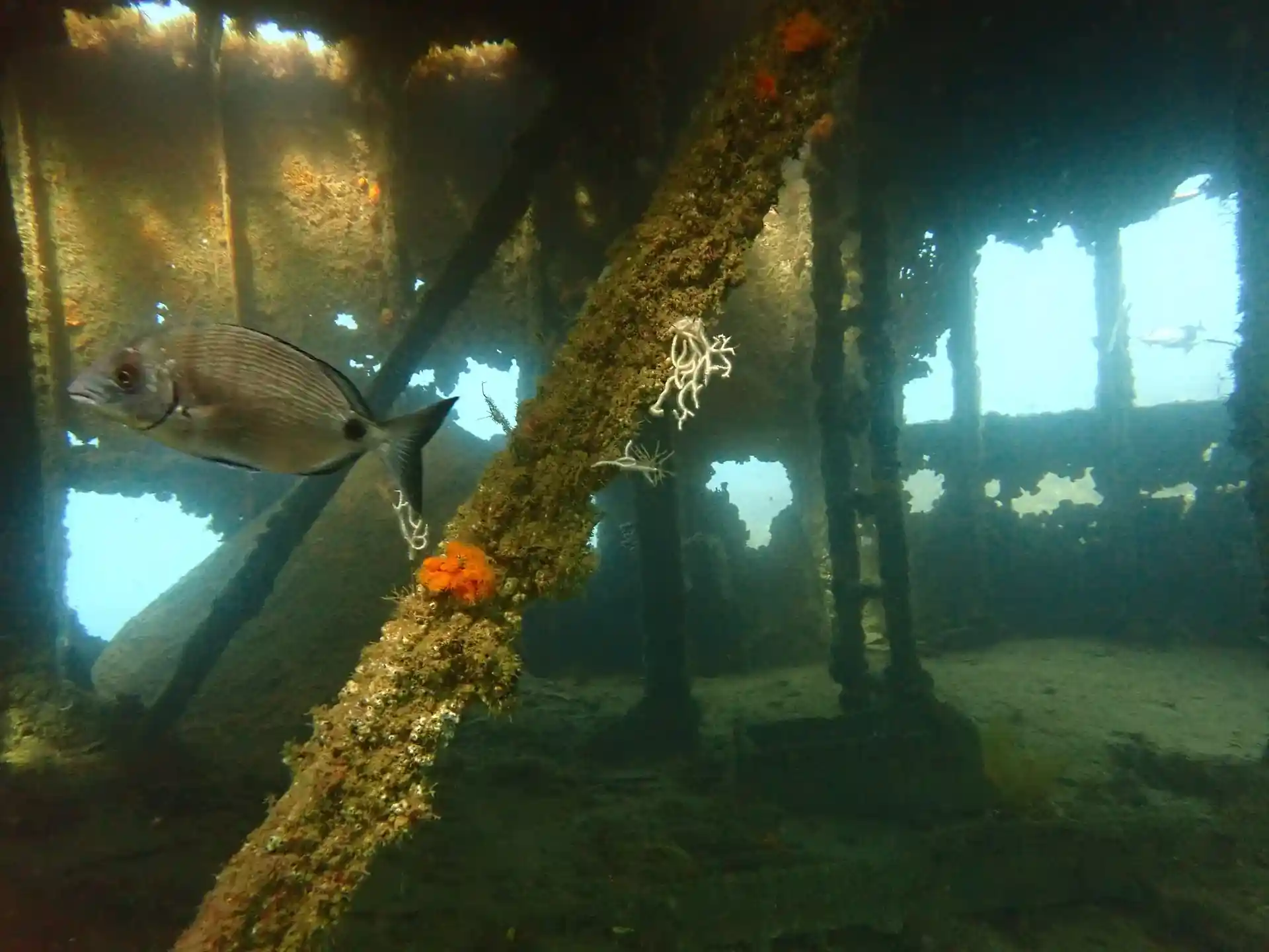 Dive site photo