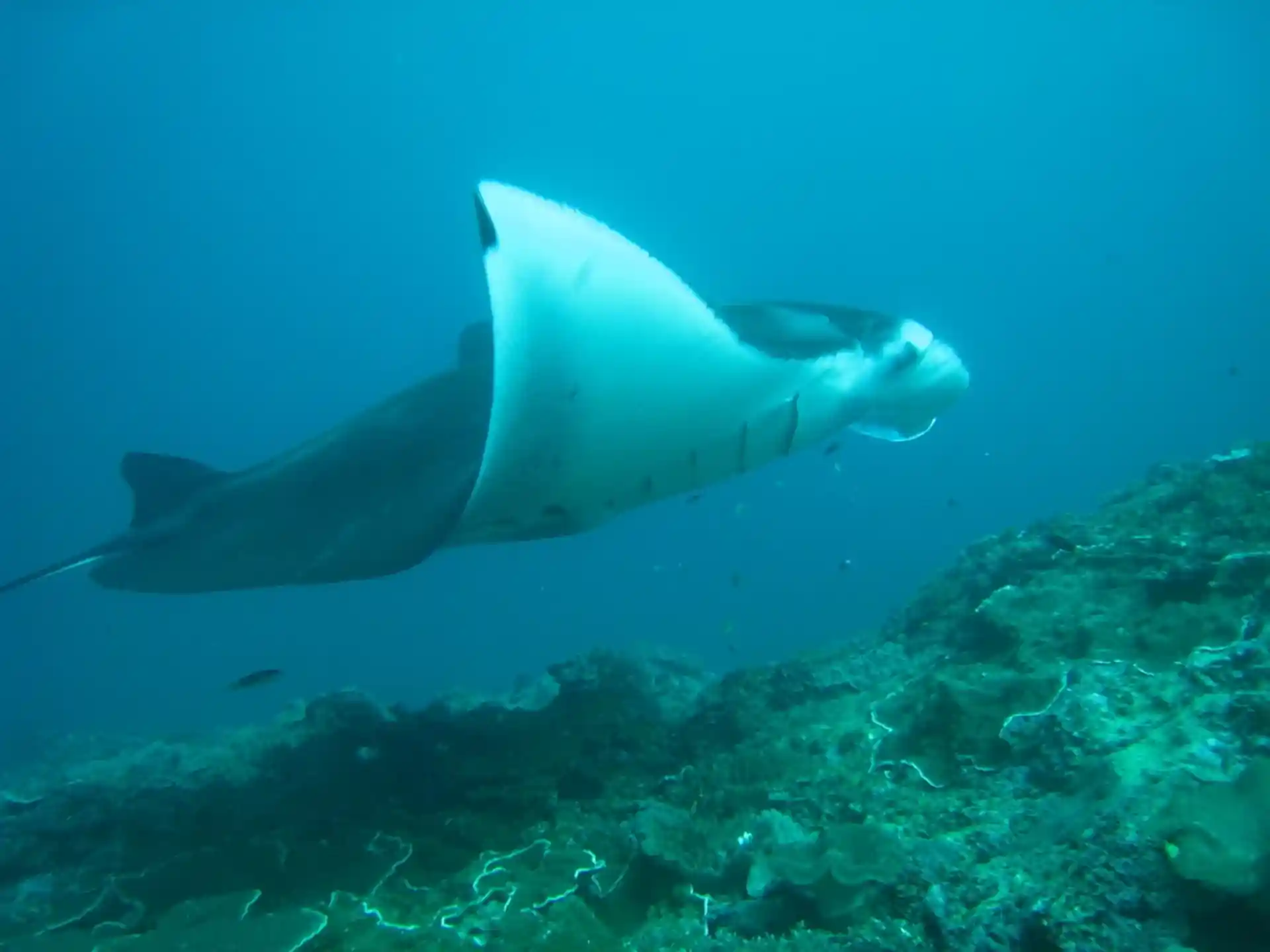 Photo de l'activité