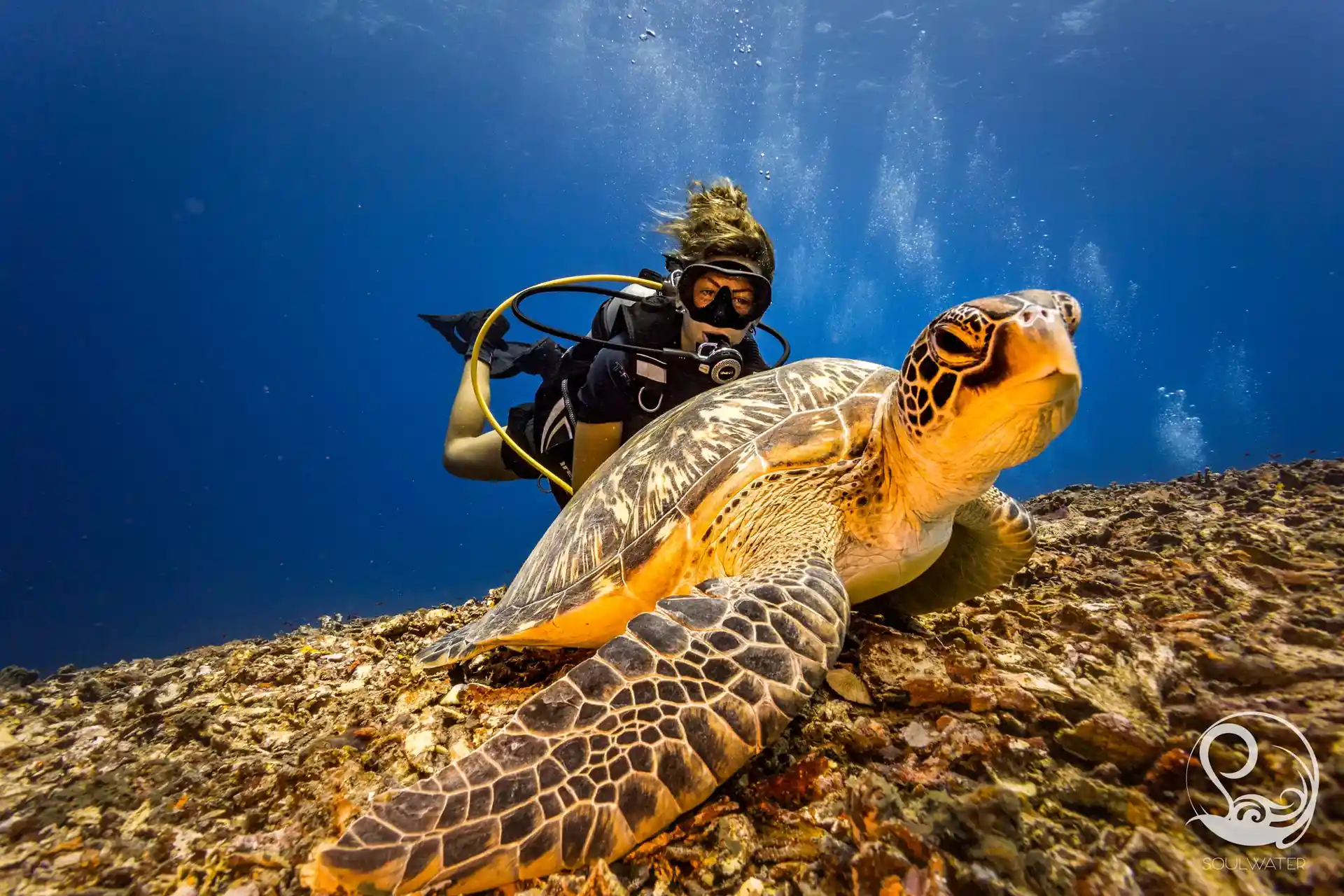 다이빙 포인트 사진