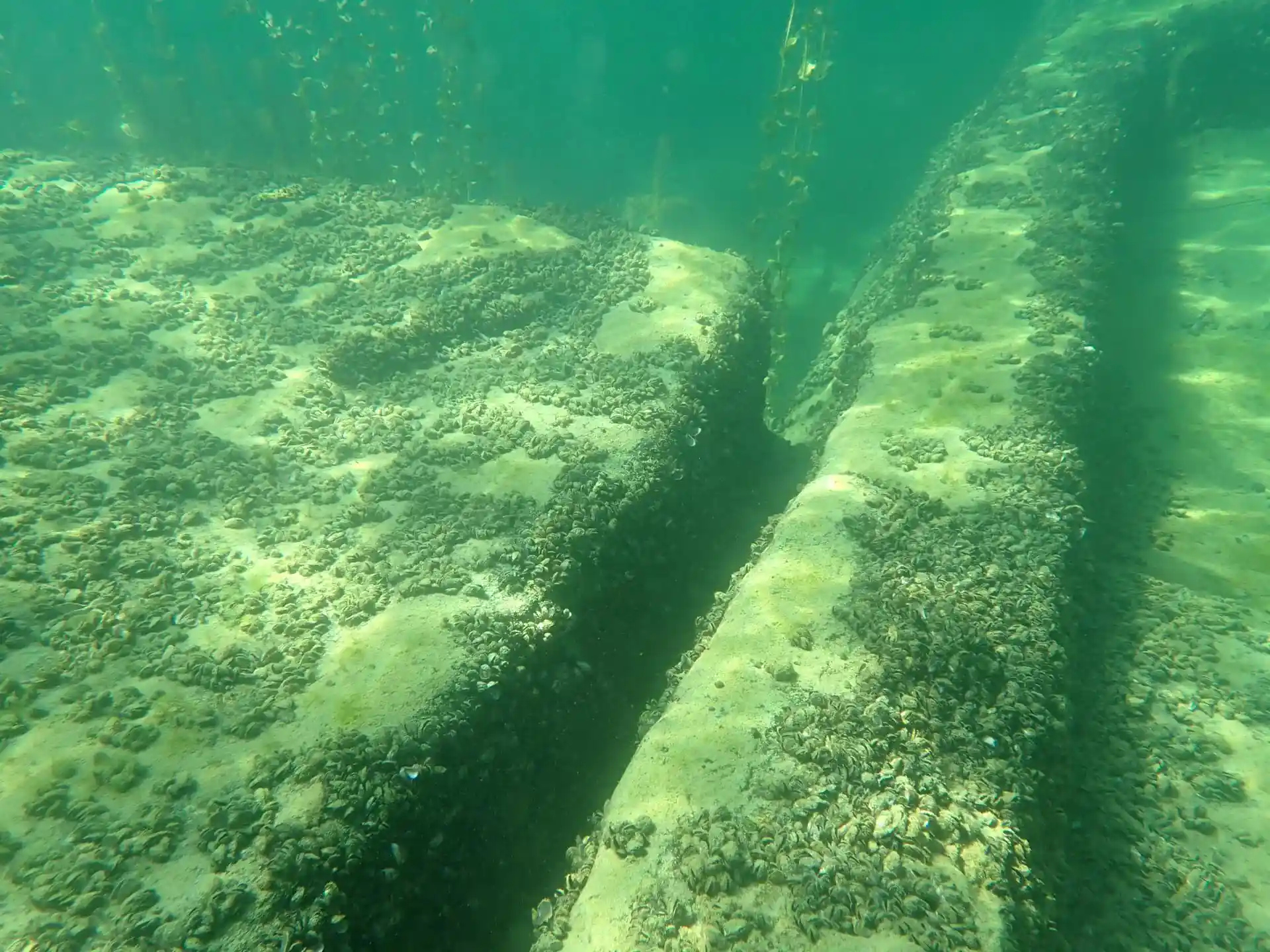 Foto de la tienda de buceo