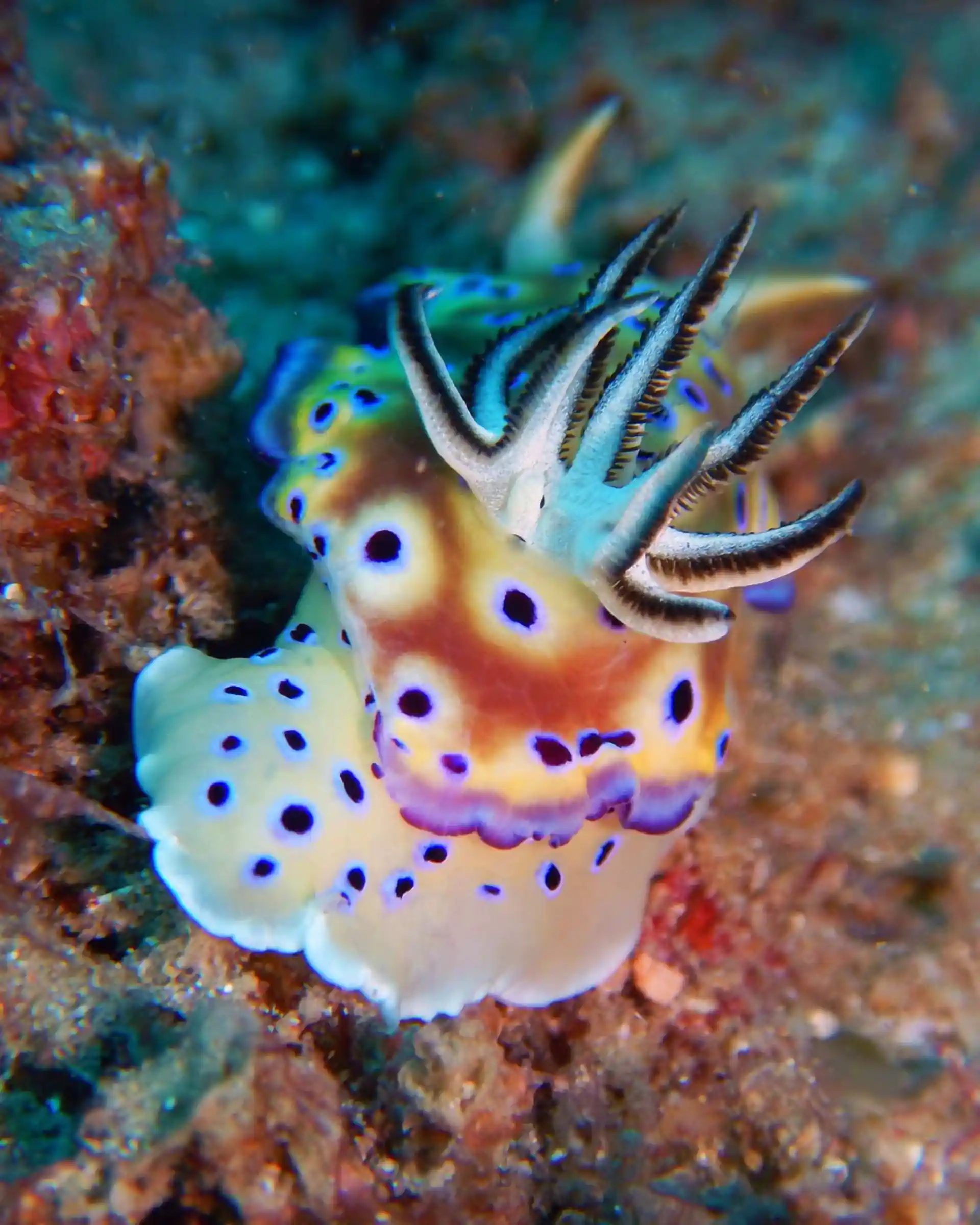 Dive shop photo