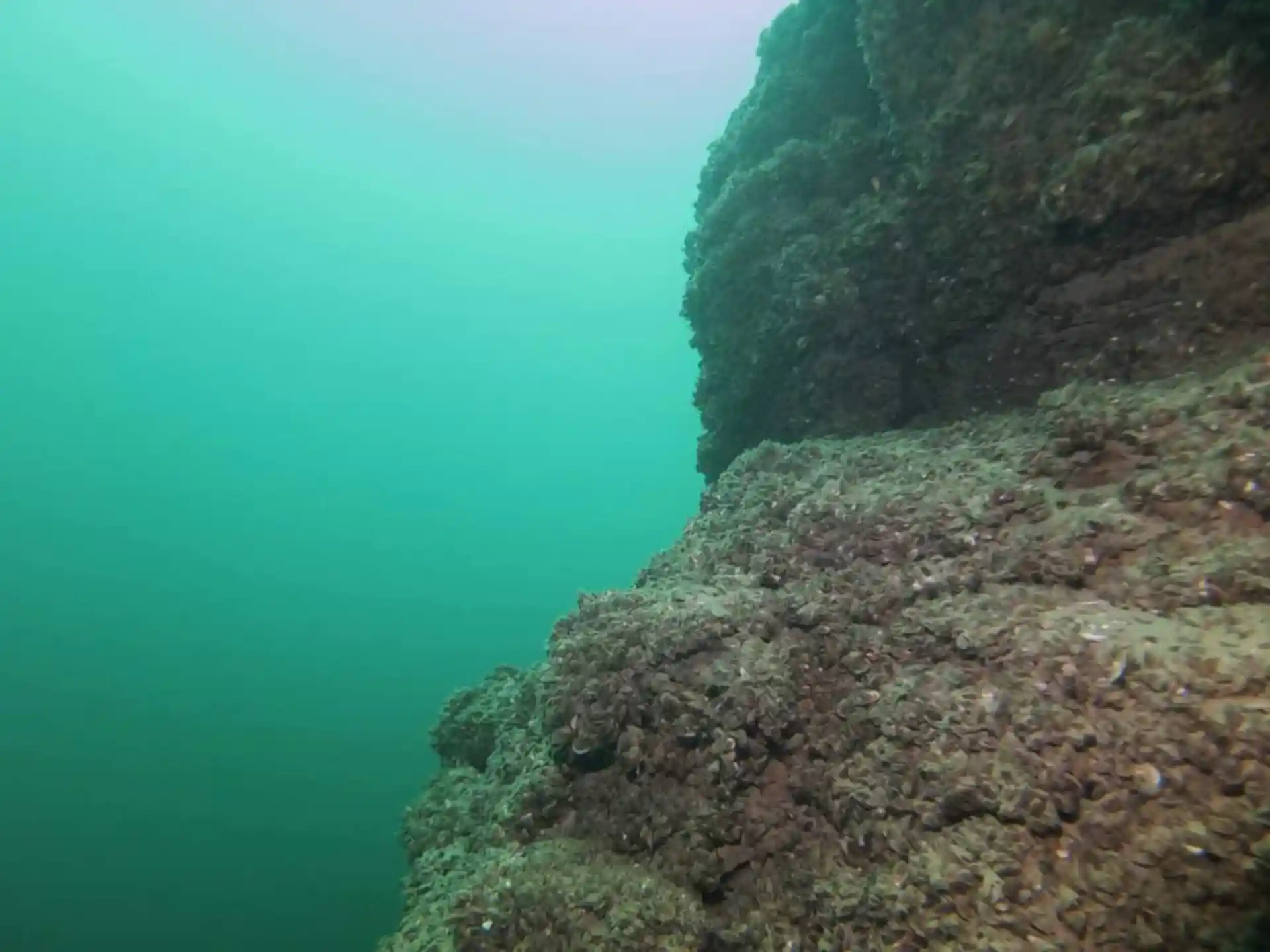 Foto des Tauchplatzes