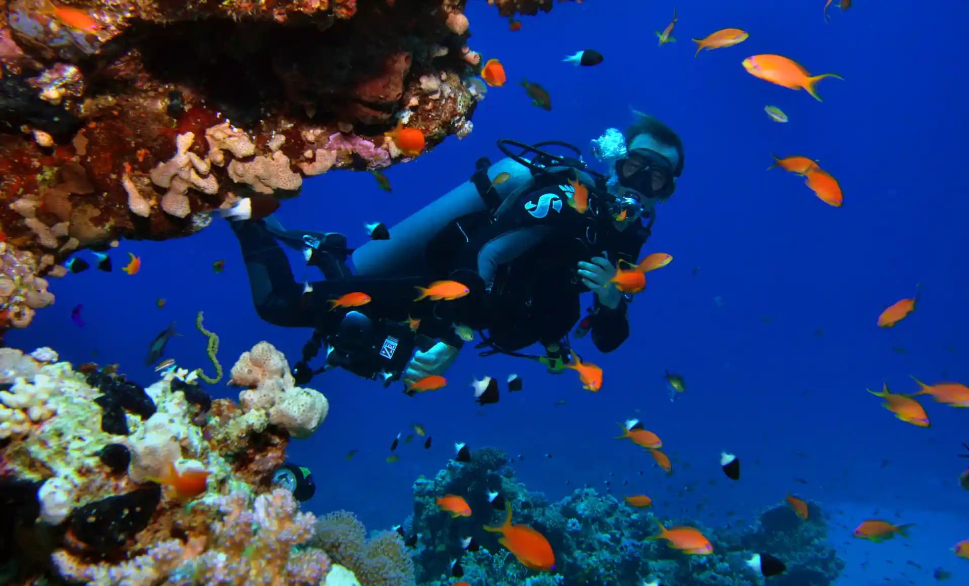 Genießen Sie die Farben des Roten Meeres und posieren Sie für Bilder