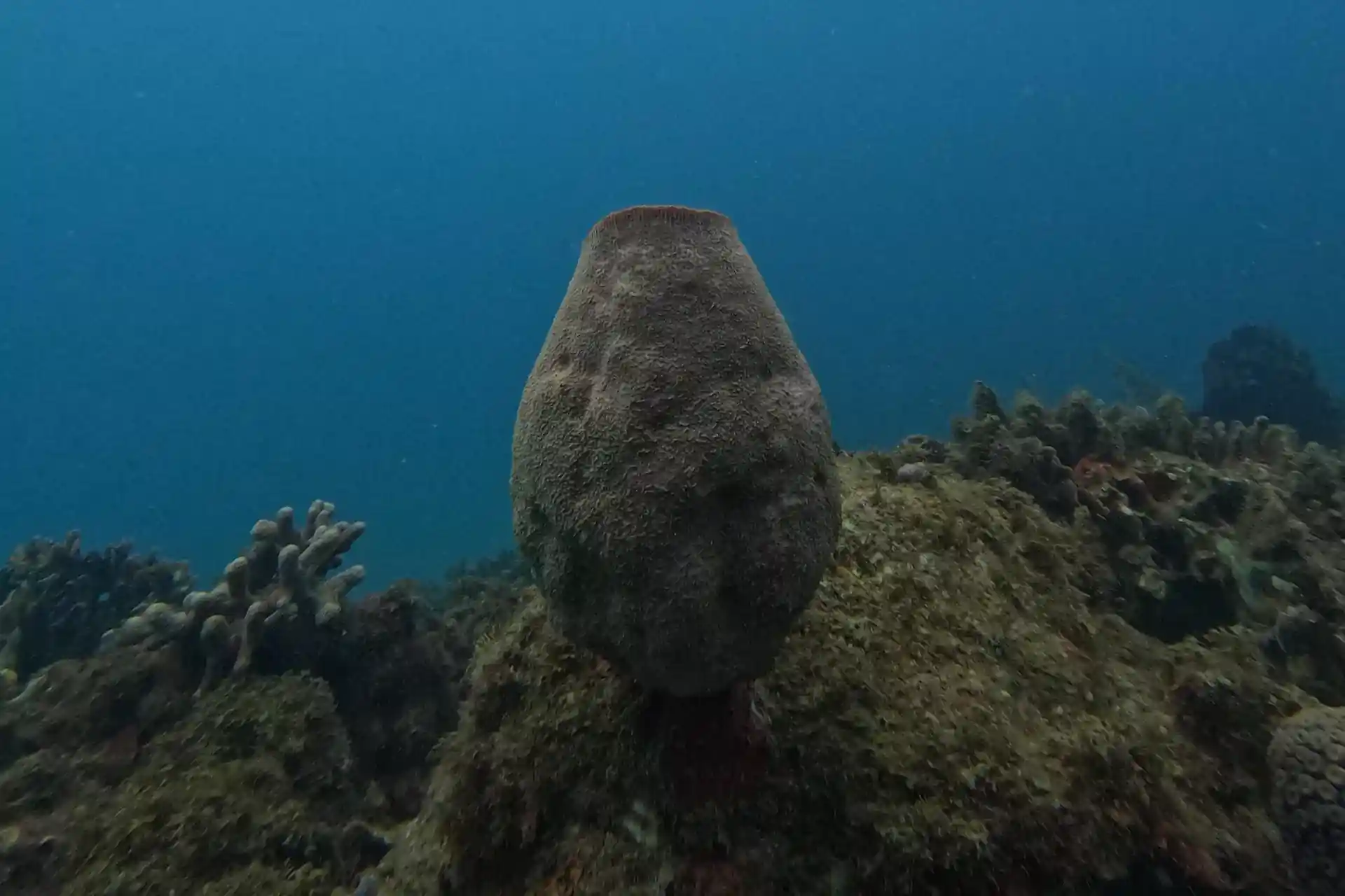 Foto del sitio de buceo