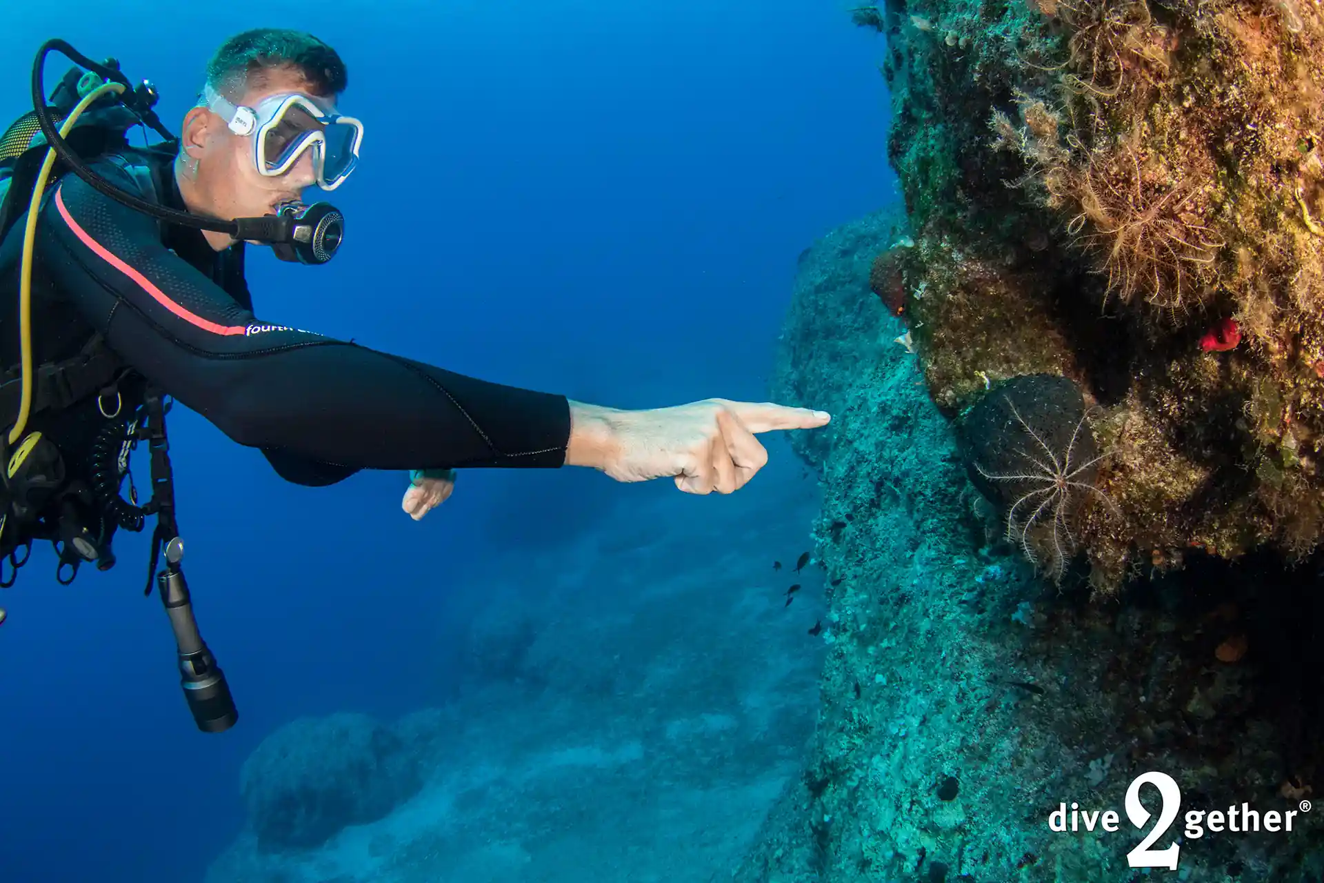 Photo de l'activité