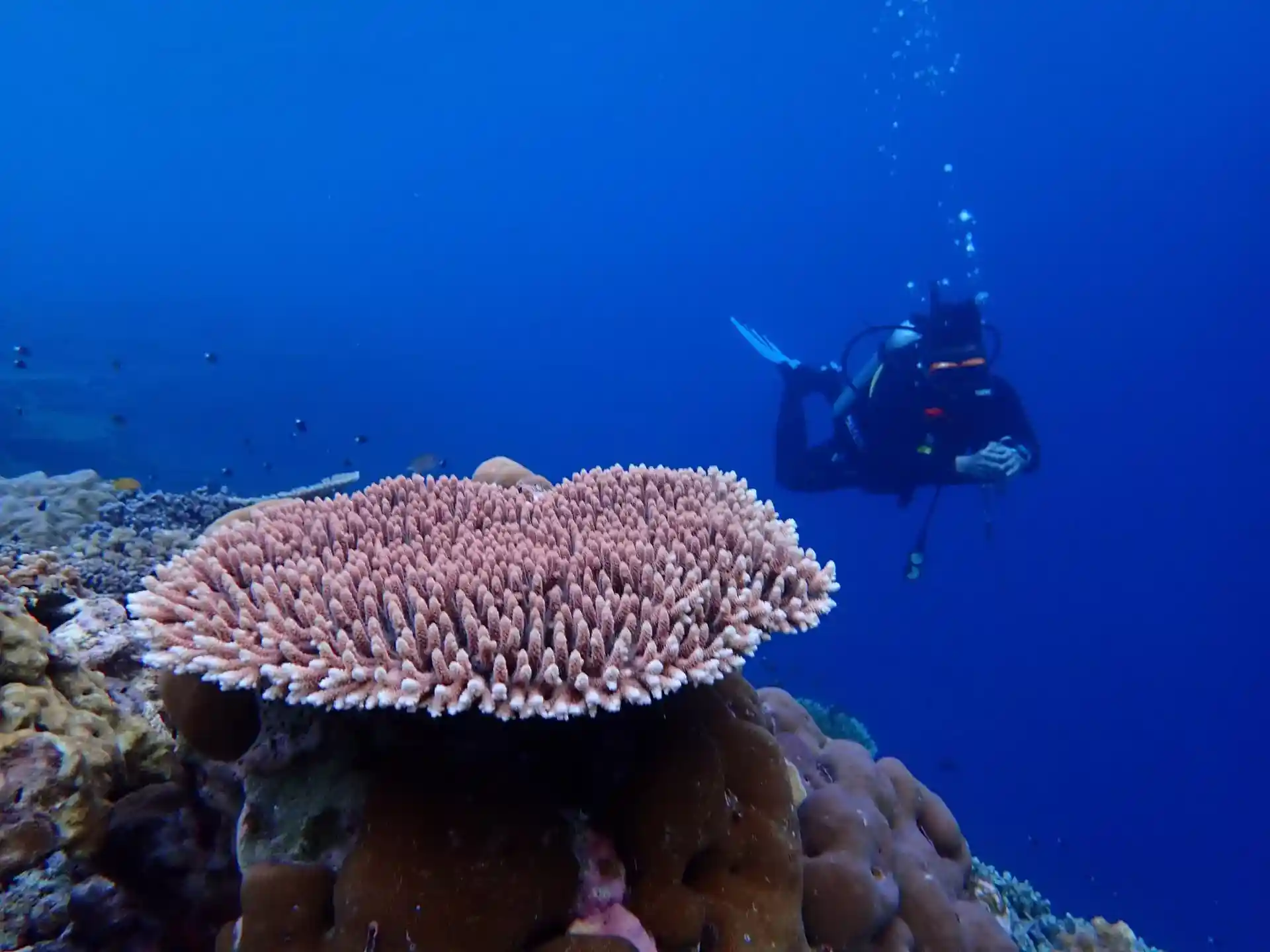Dive site photo