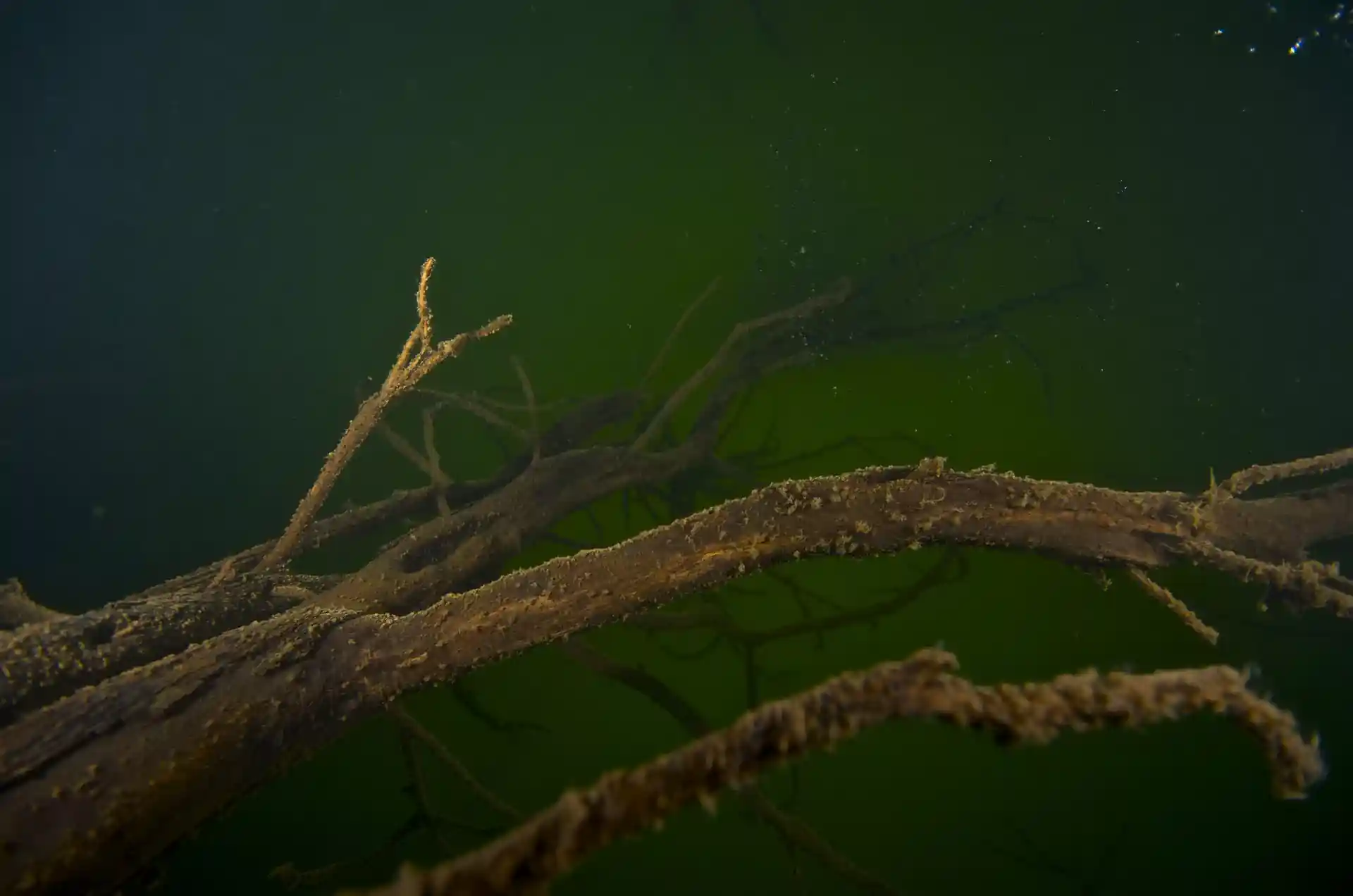 Dive site photo