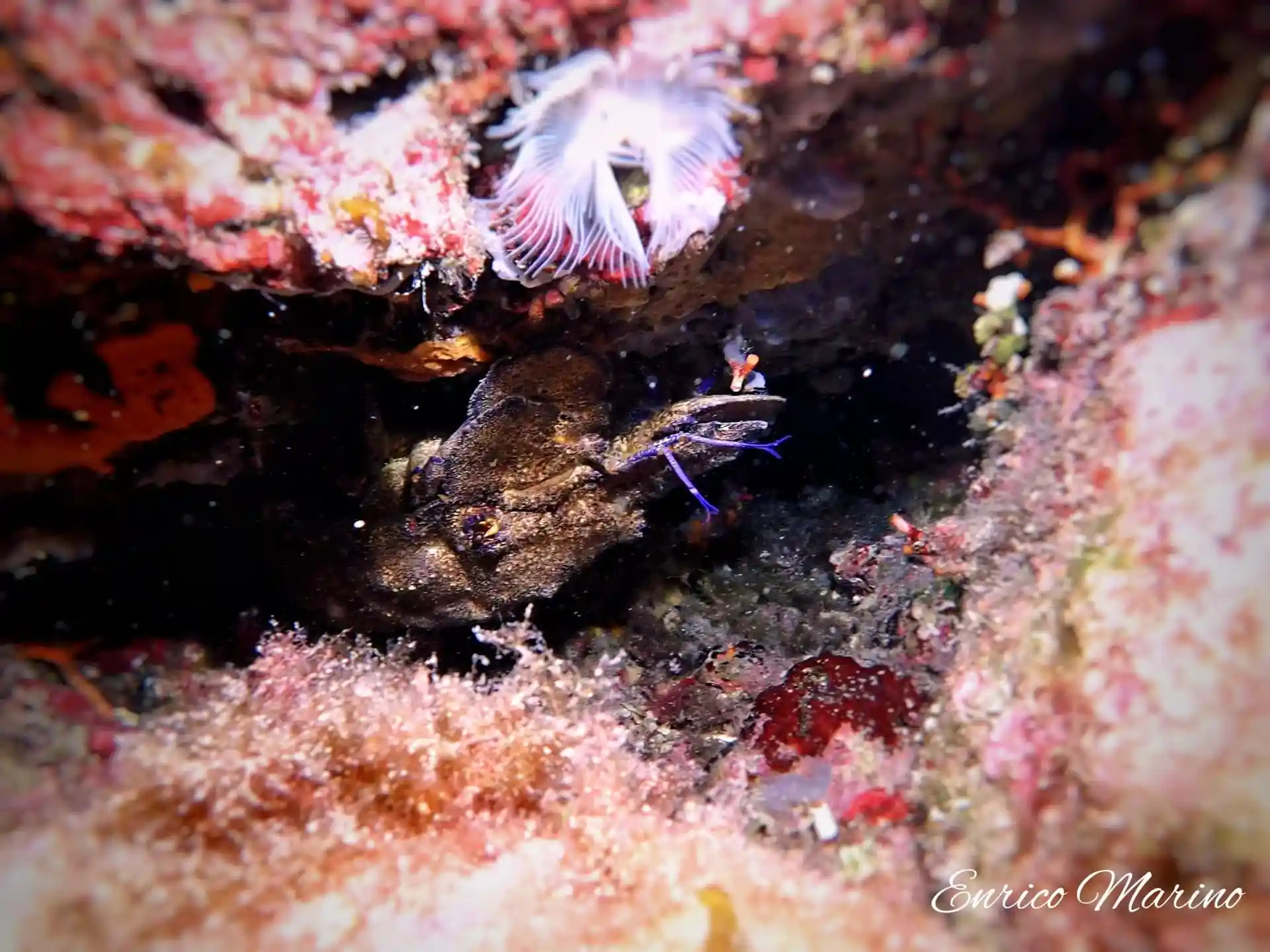 Dive site photo