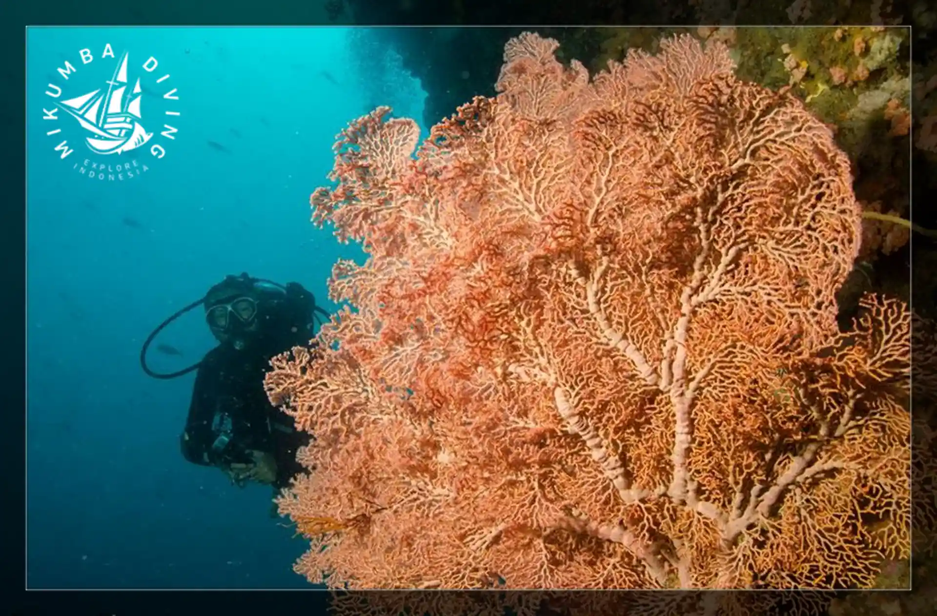 Photo de l'activité