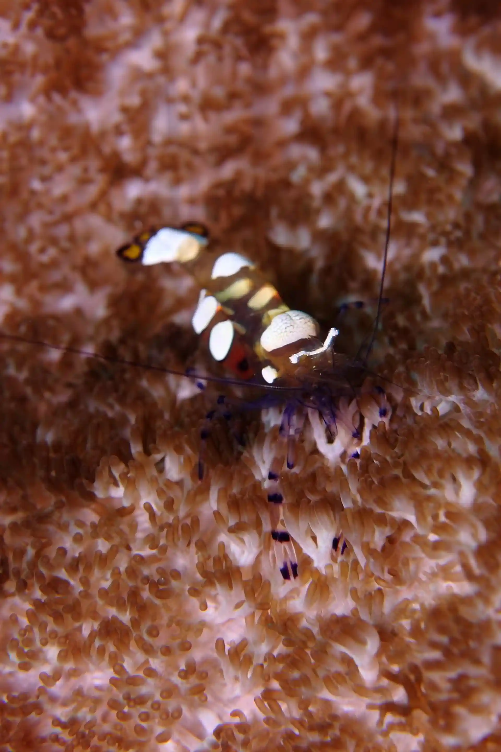 Foto des Tauchplatzes