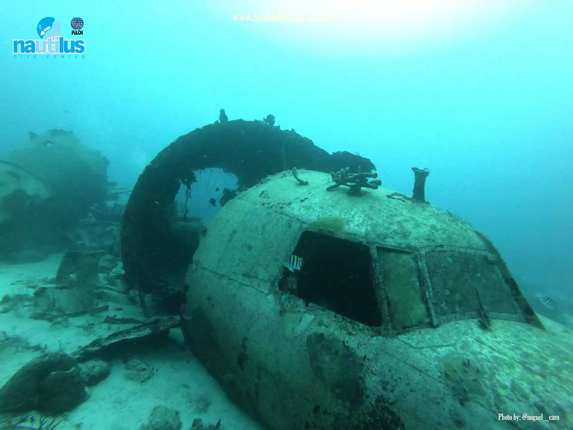 You will live the experience of penetrating a plane, where you can find a variety of marine life and Fish Diversity.