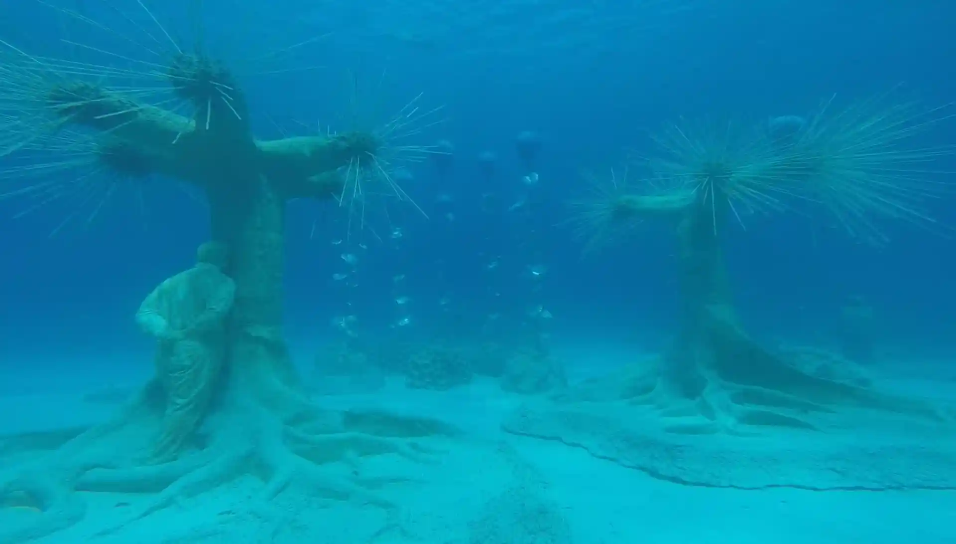 Foto de la actividad