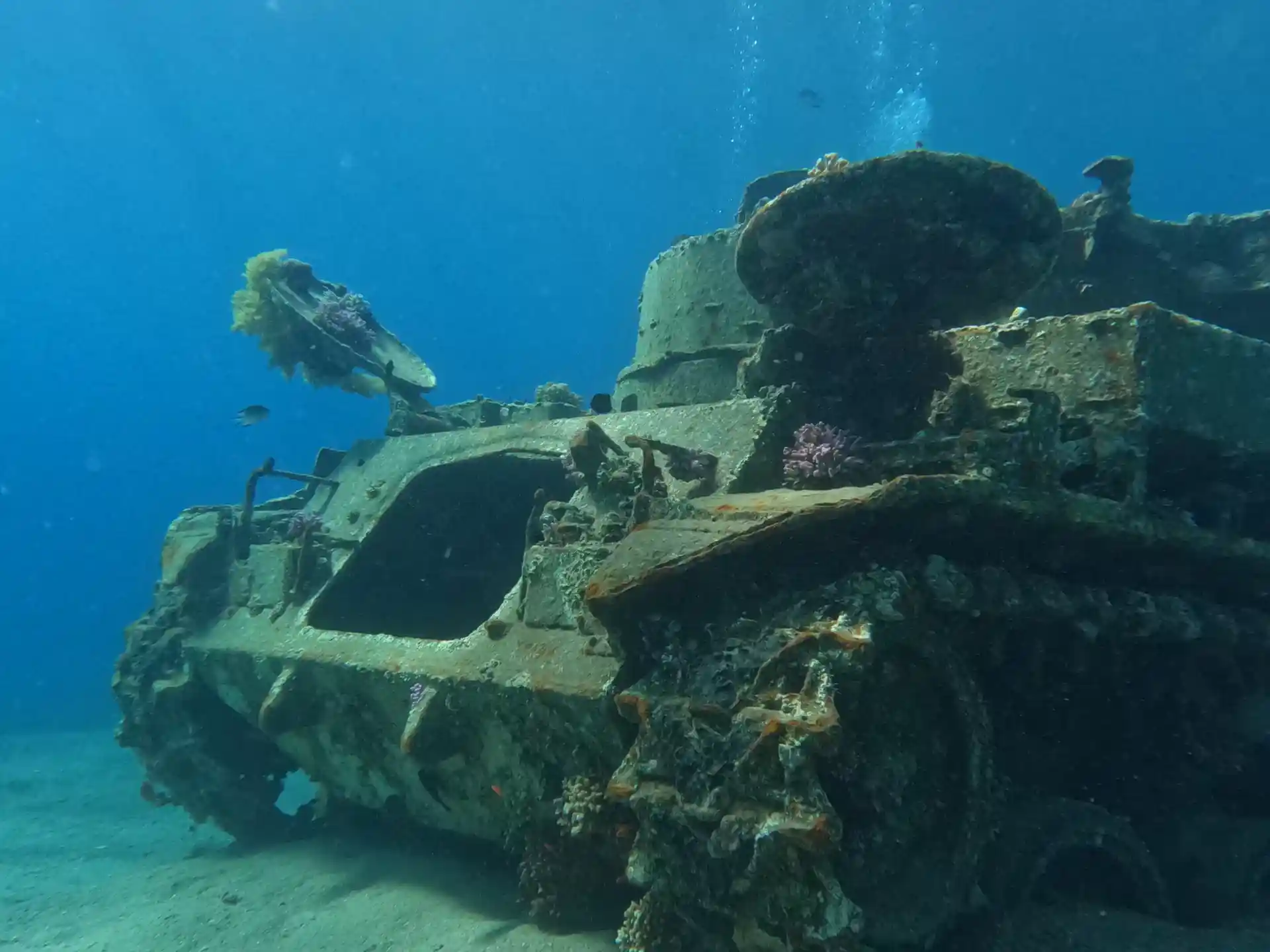 Dive shop photo