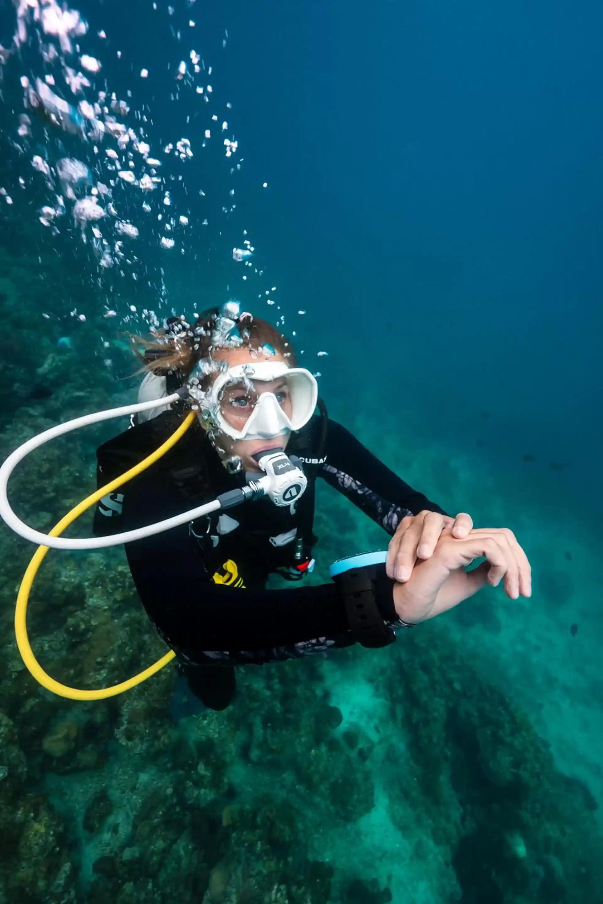 Diving in a vibrant reef