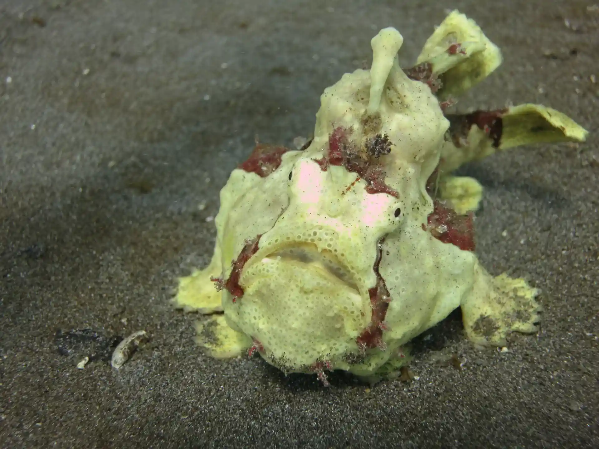 Photo de l'activité